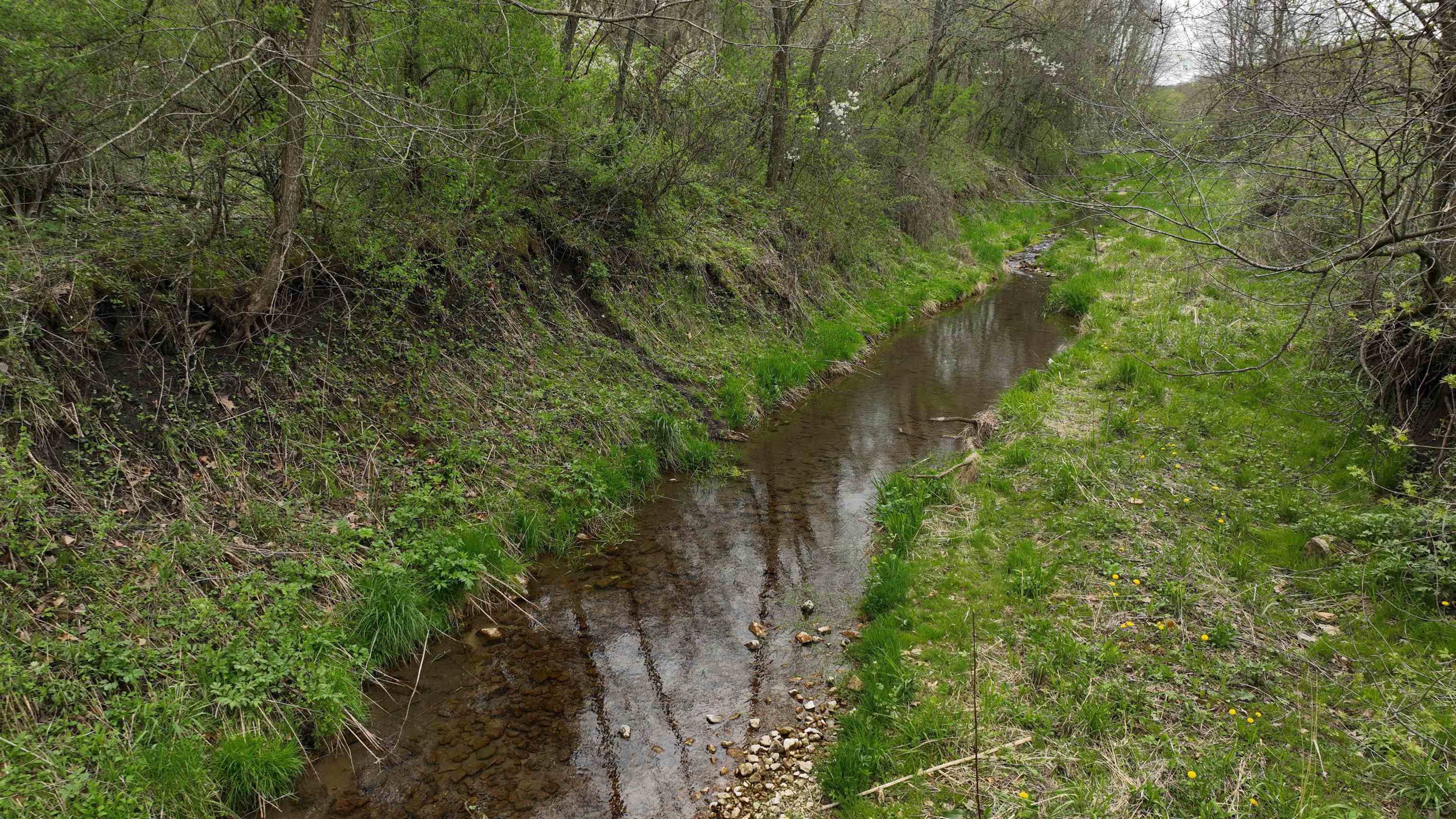 000 Rhein Hollow Road