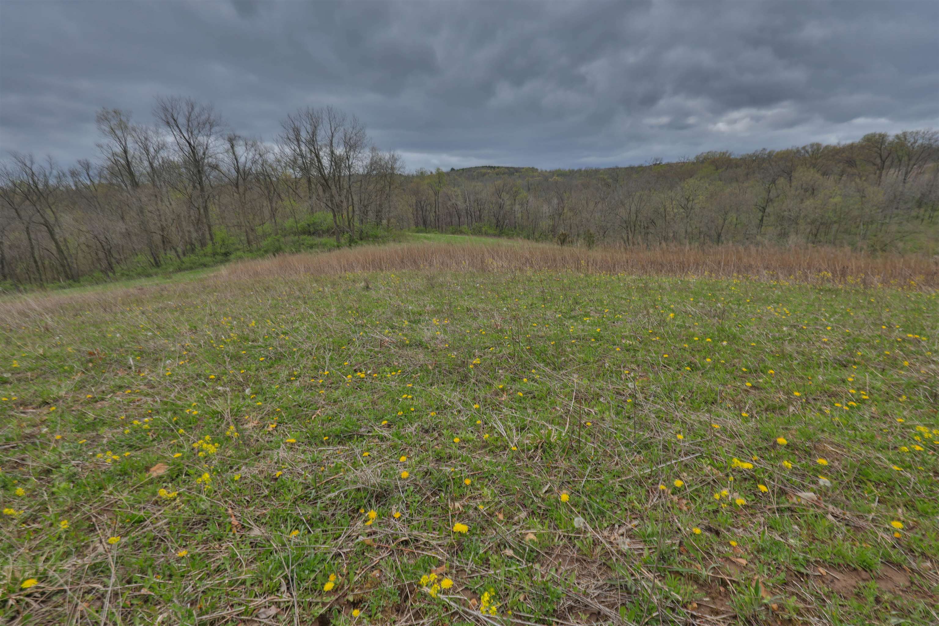 000 Rhein Hollow Road