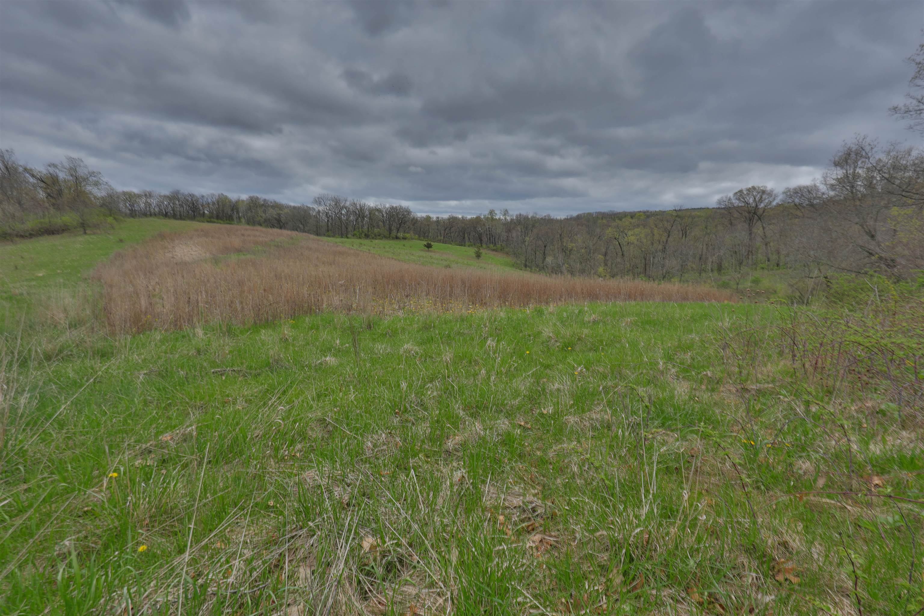000 Rhein Hollow Road