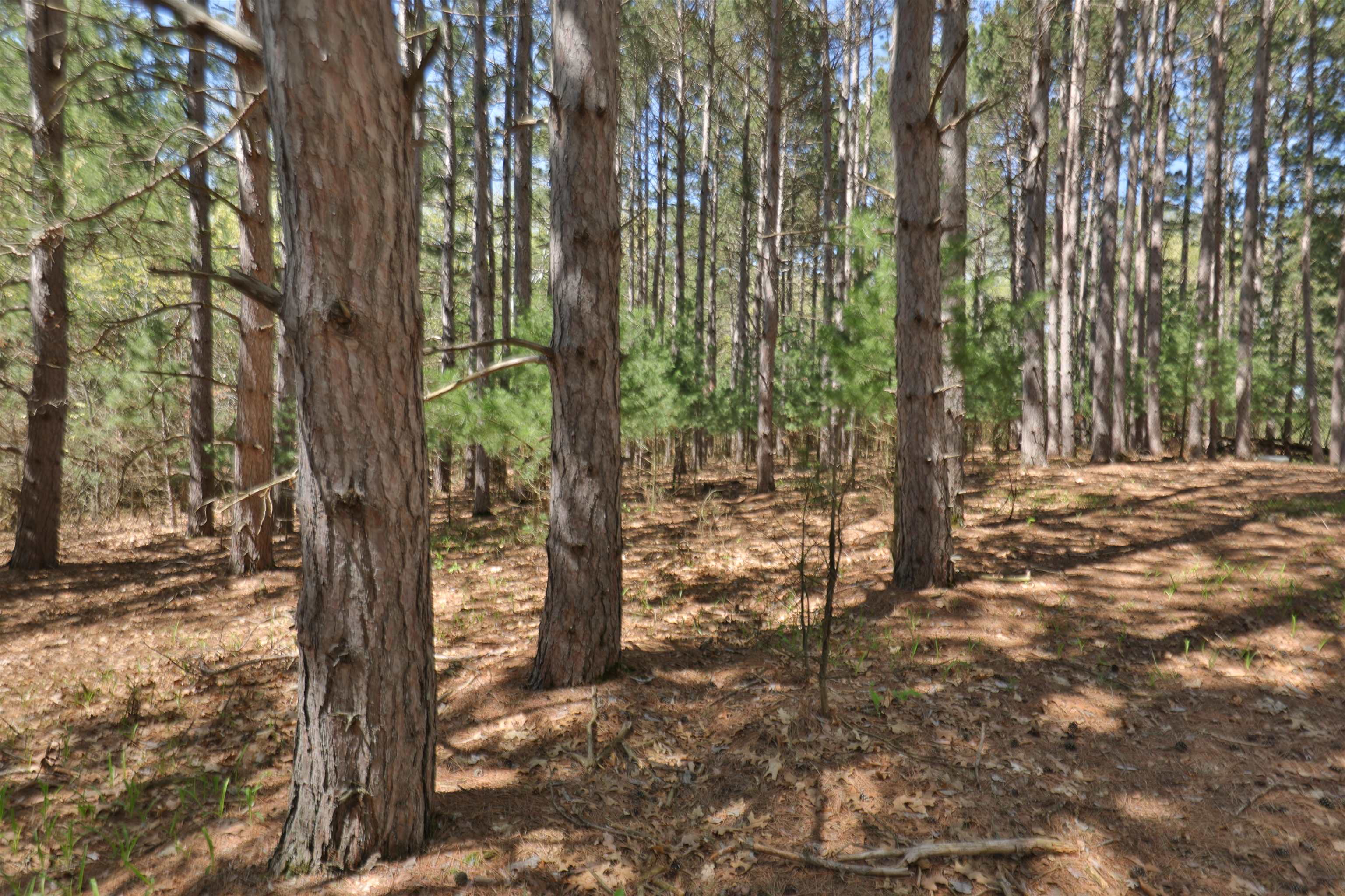 469 County Road I