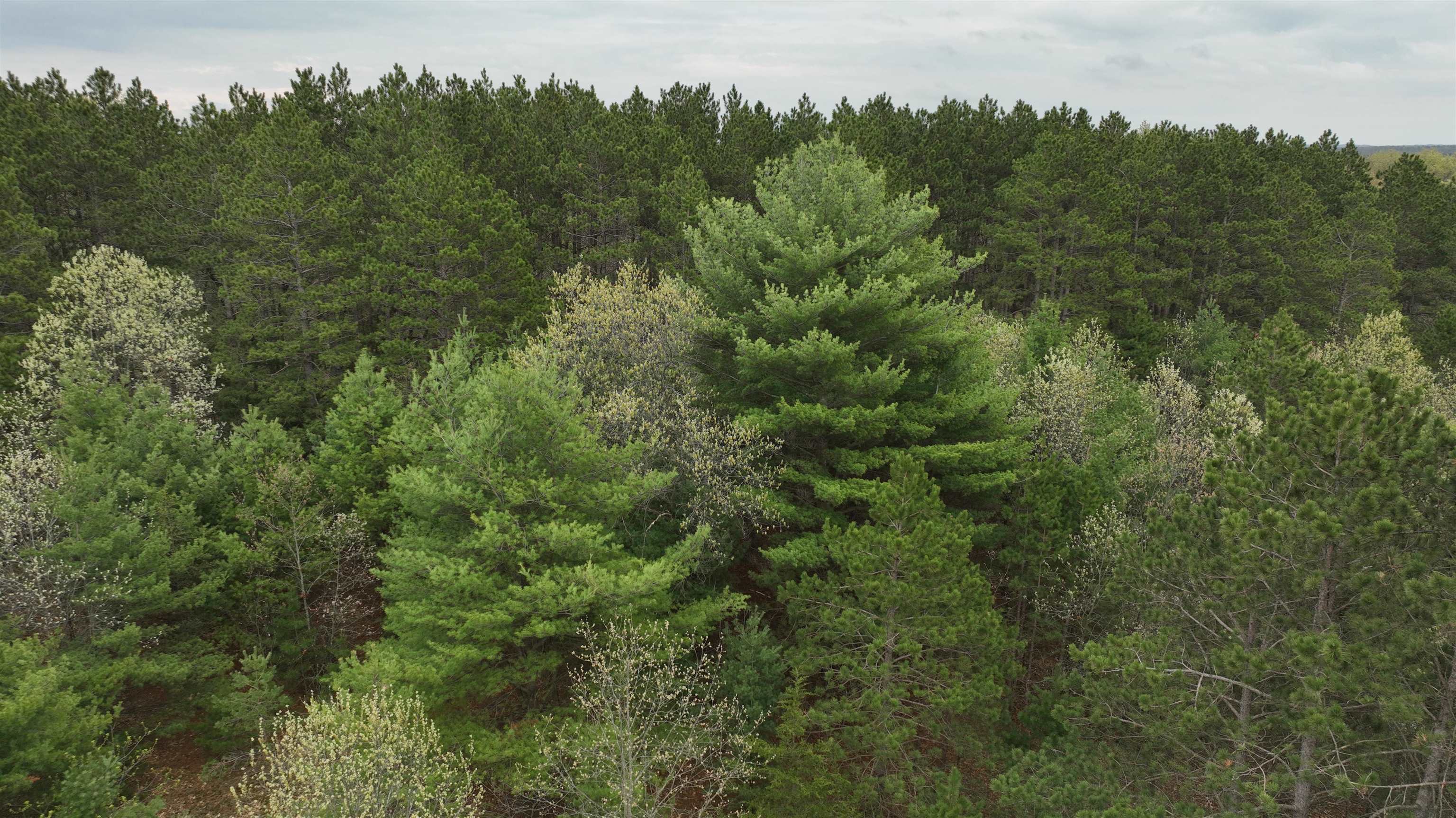 469 County Road I