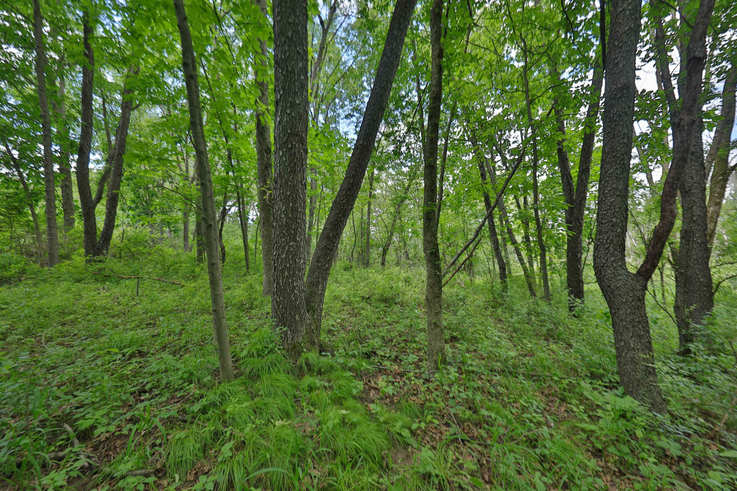 000 Aarback Road