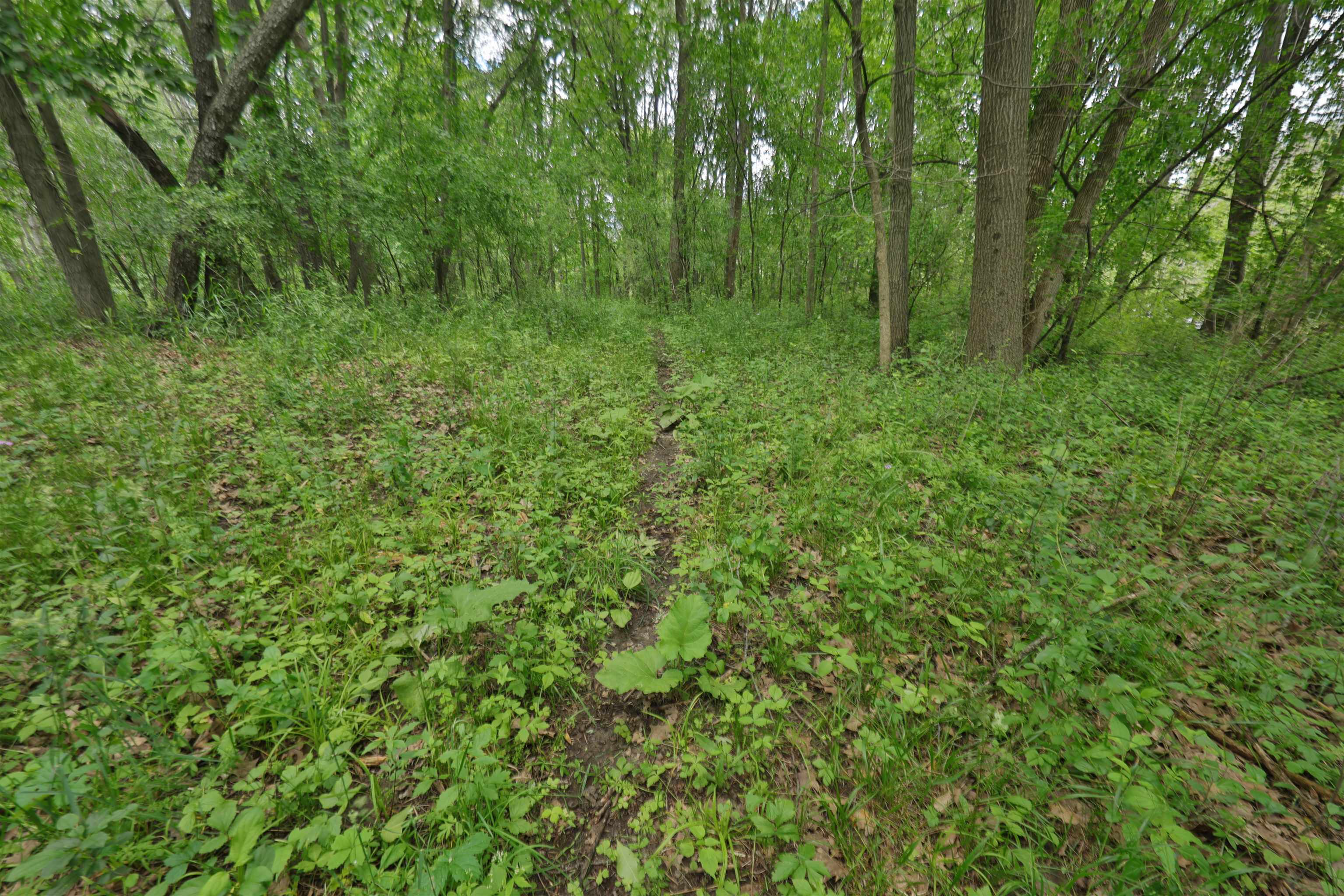 000 Aarback Road