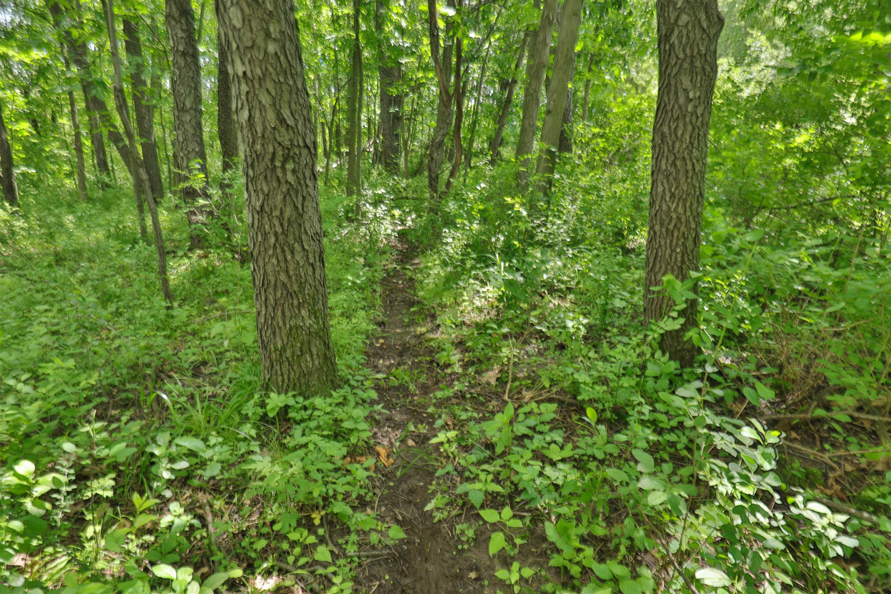 000 Aarback Road
