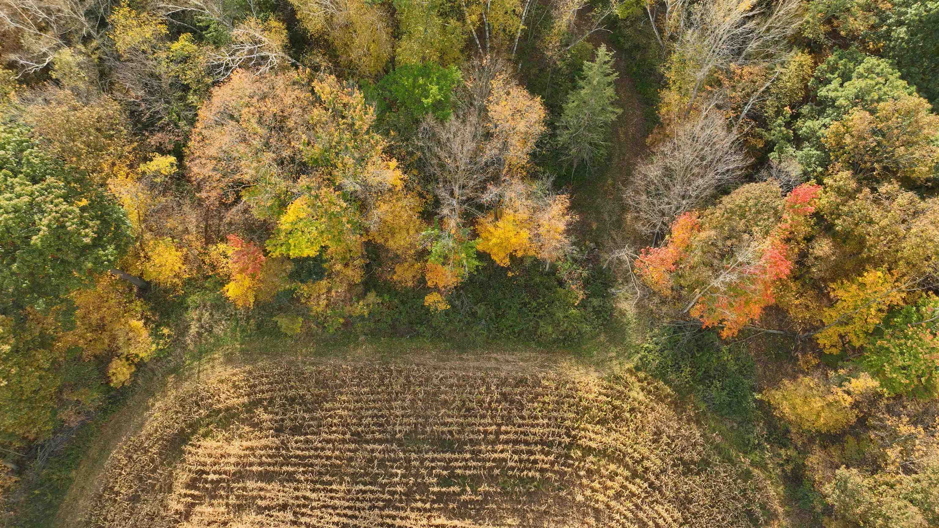 000 Berry Hill Road