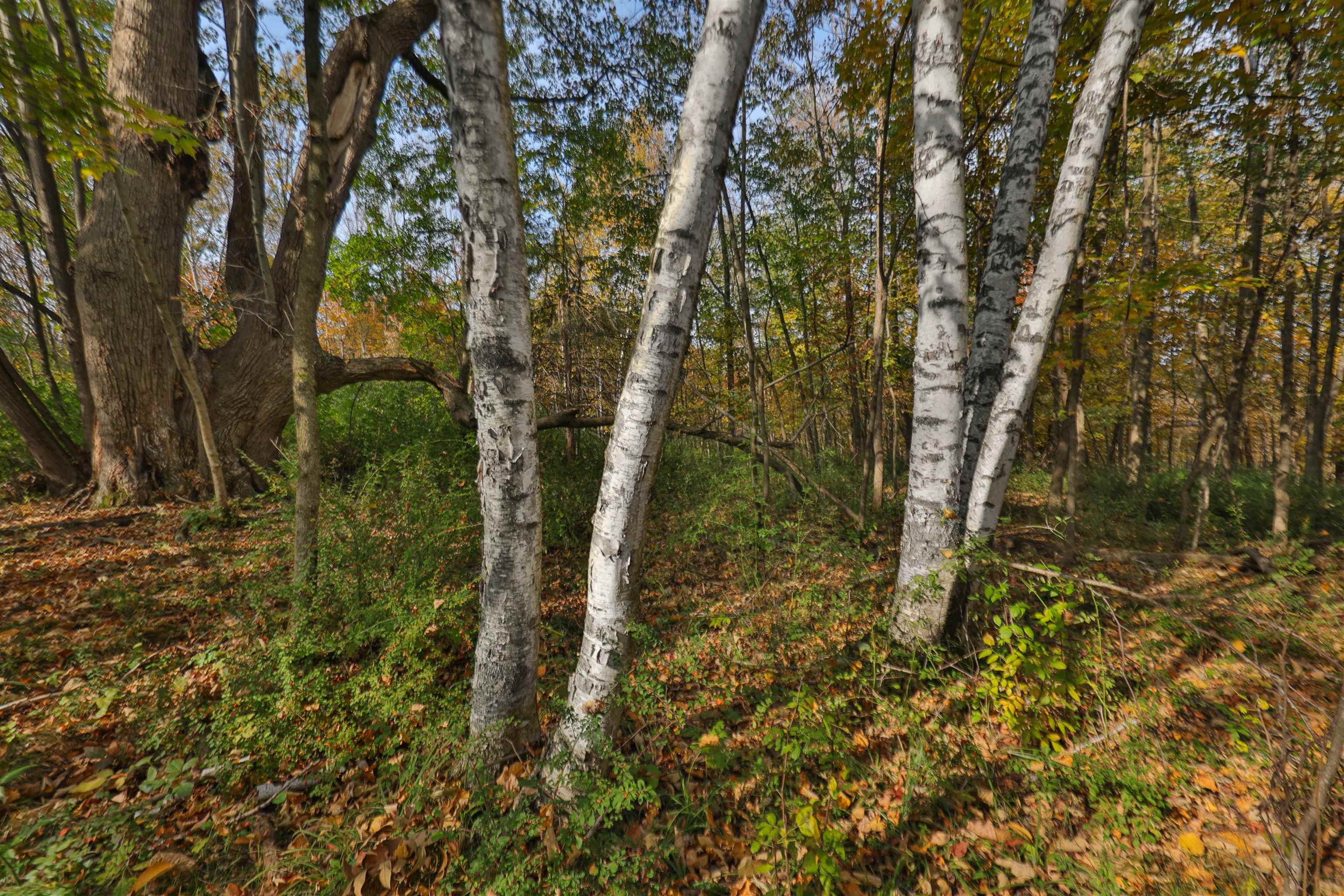 000 Berry Hill Road