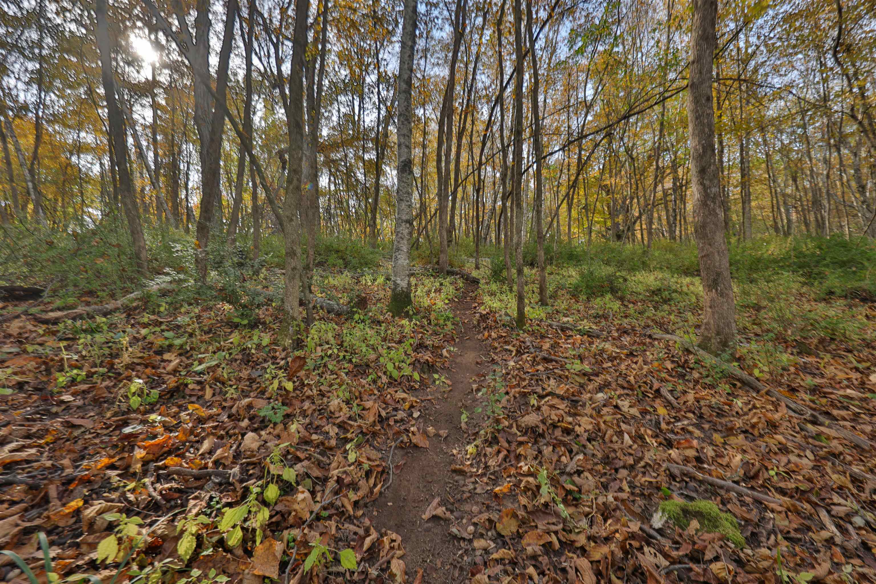 000 Berry Hill Road
