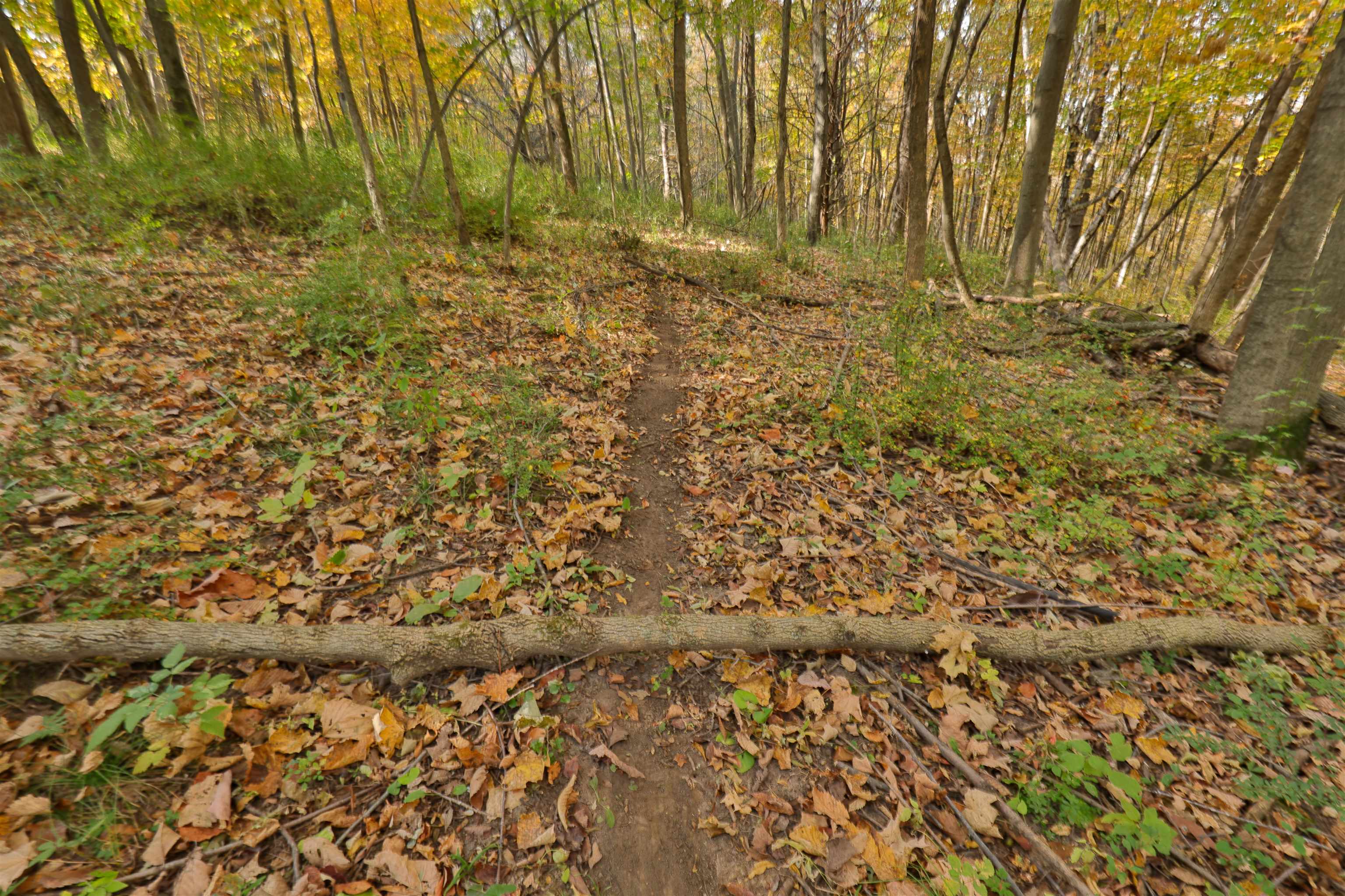000 Berry Hill Road