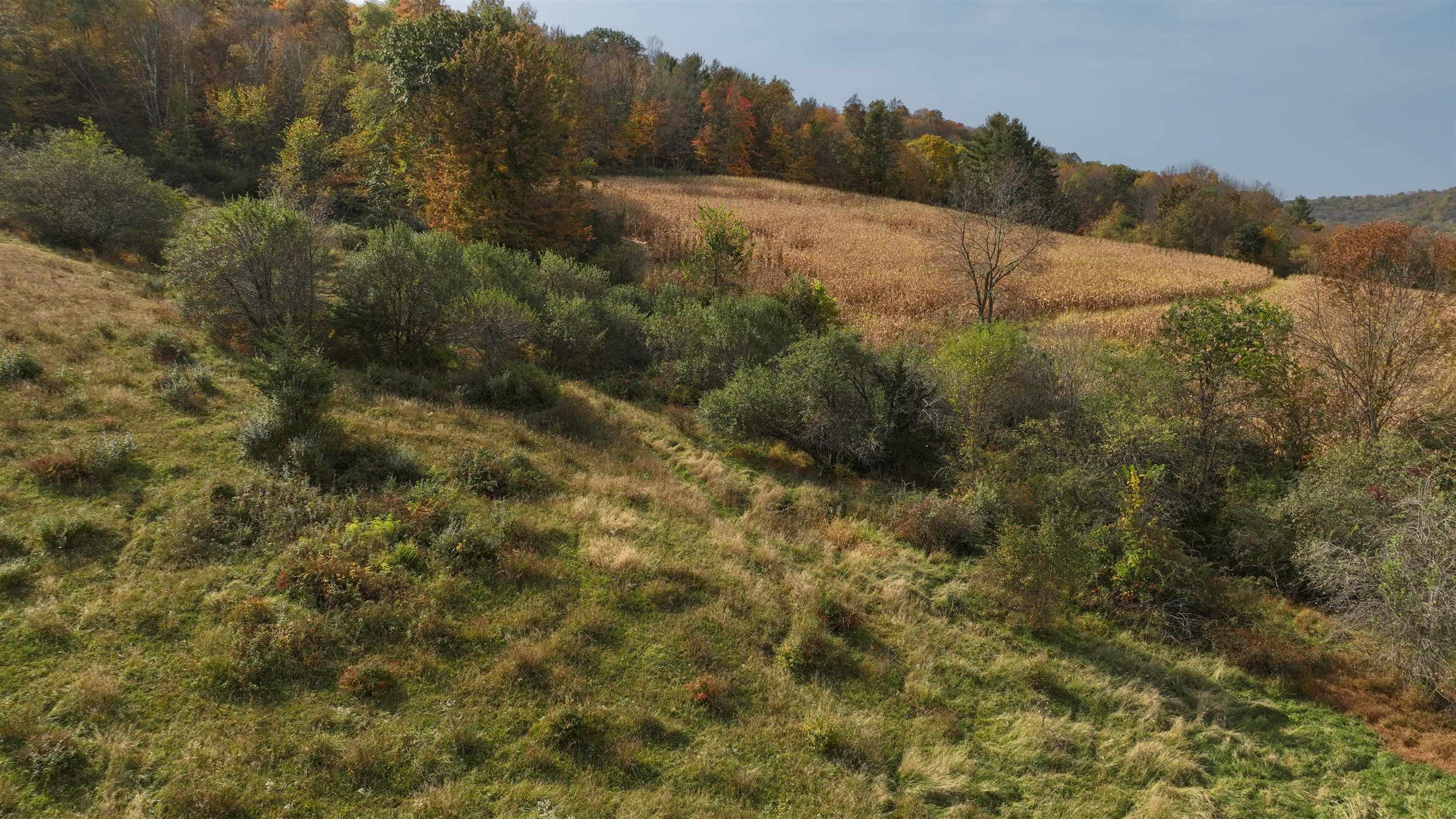 000 Berry Hill Road