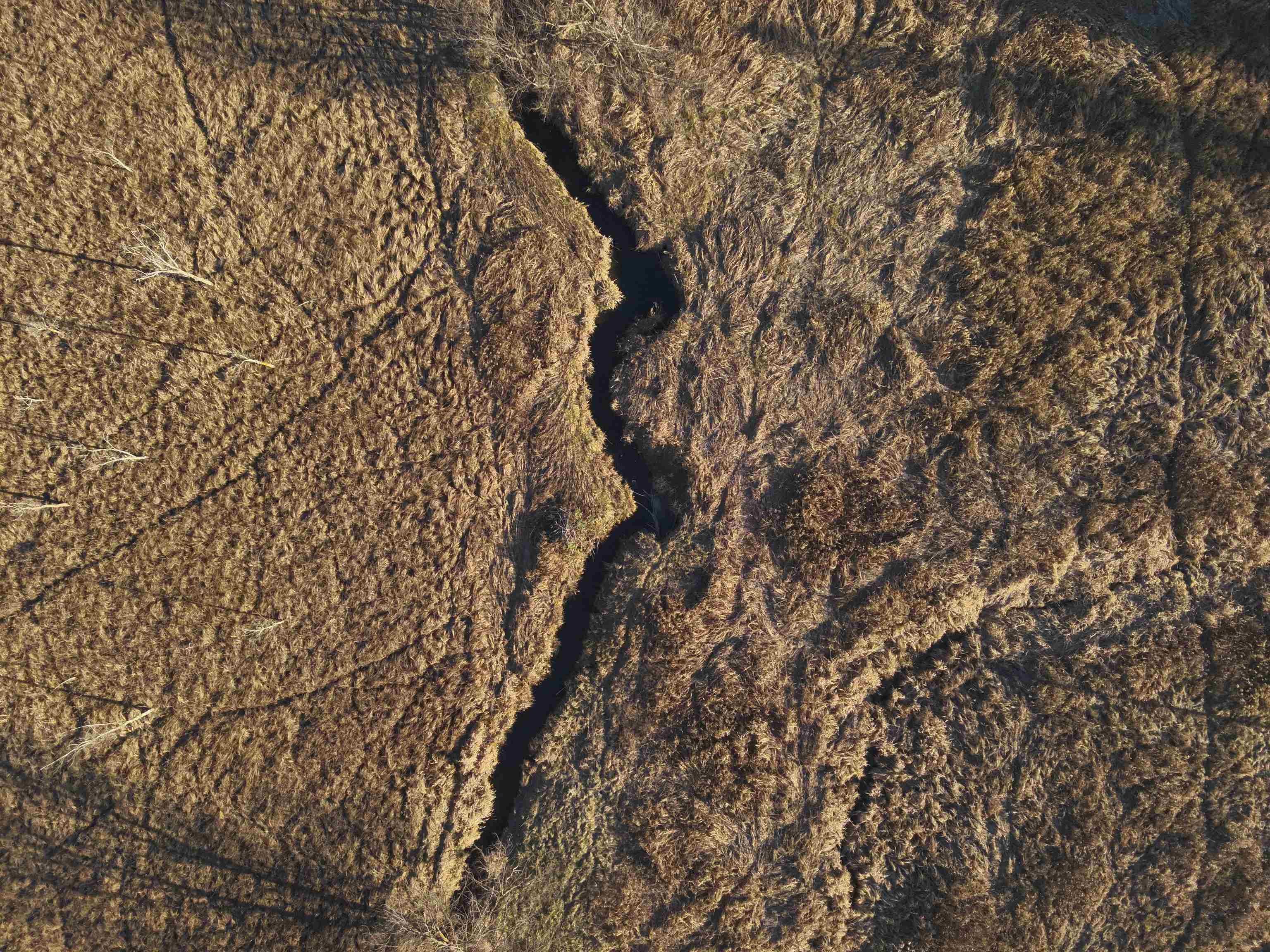 000 Fish Hollow Road