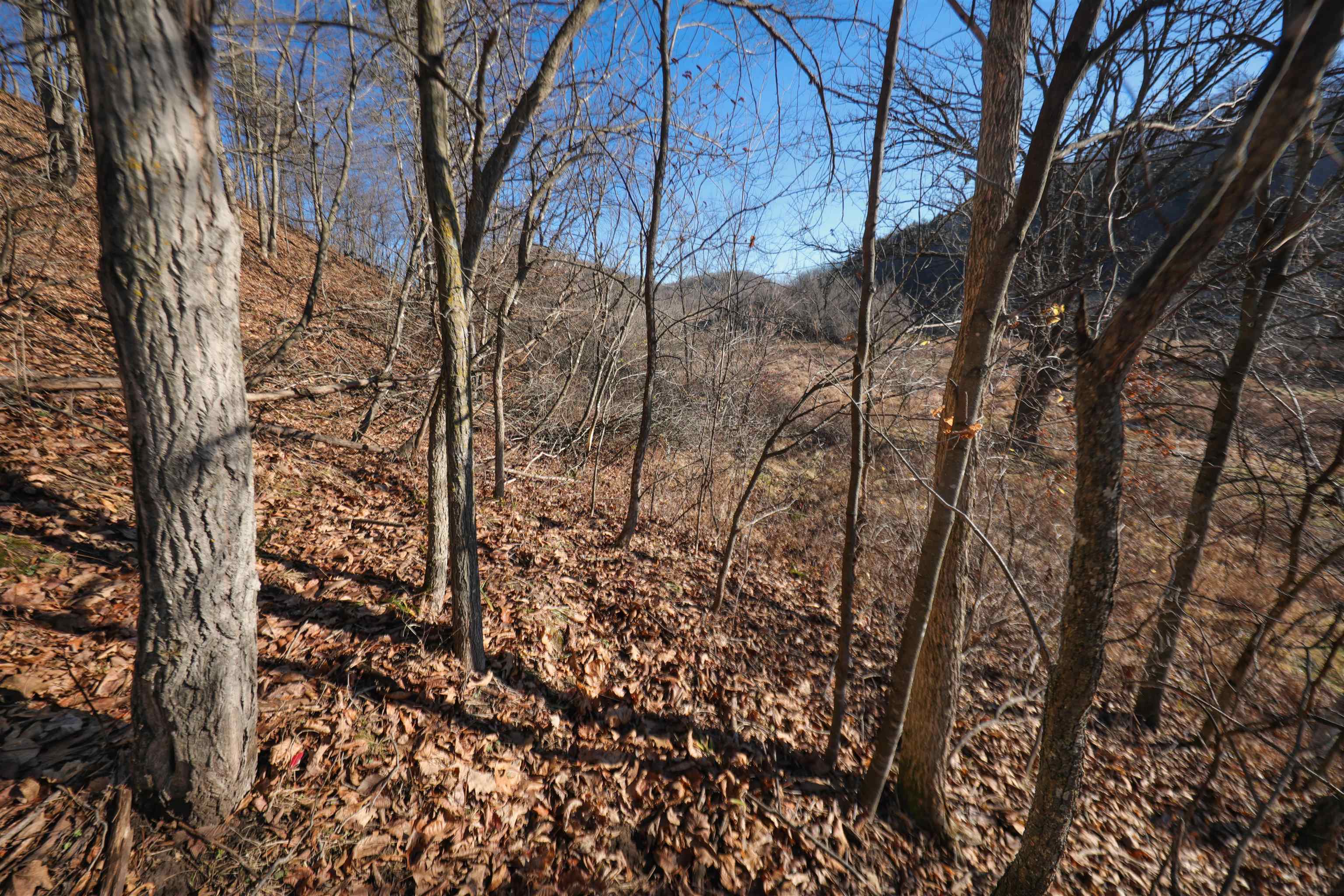 000 Fish Hollow Road