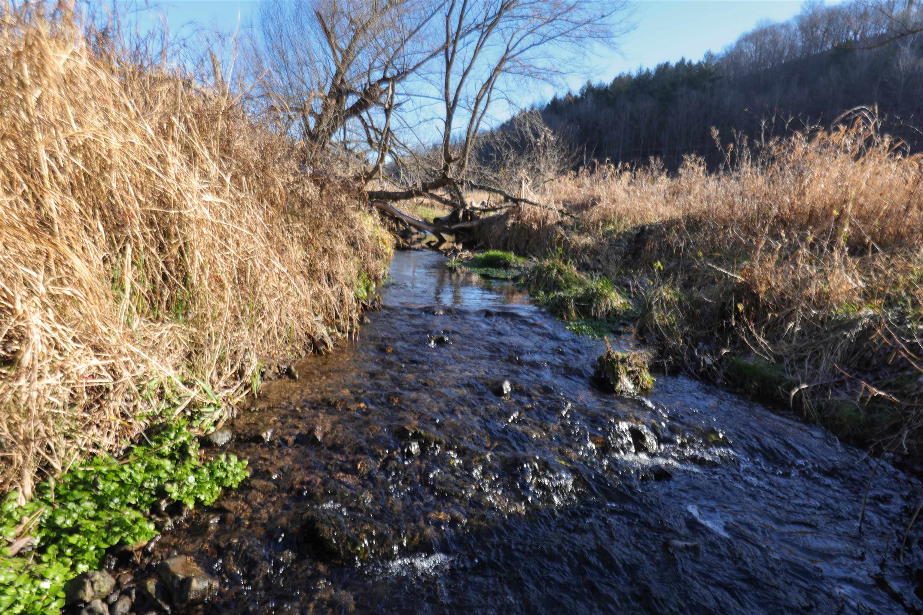000 Fish Hollow Road