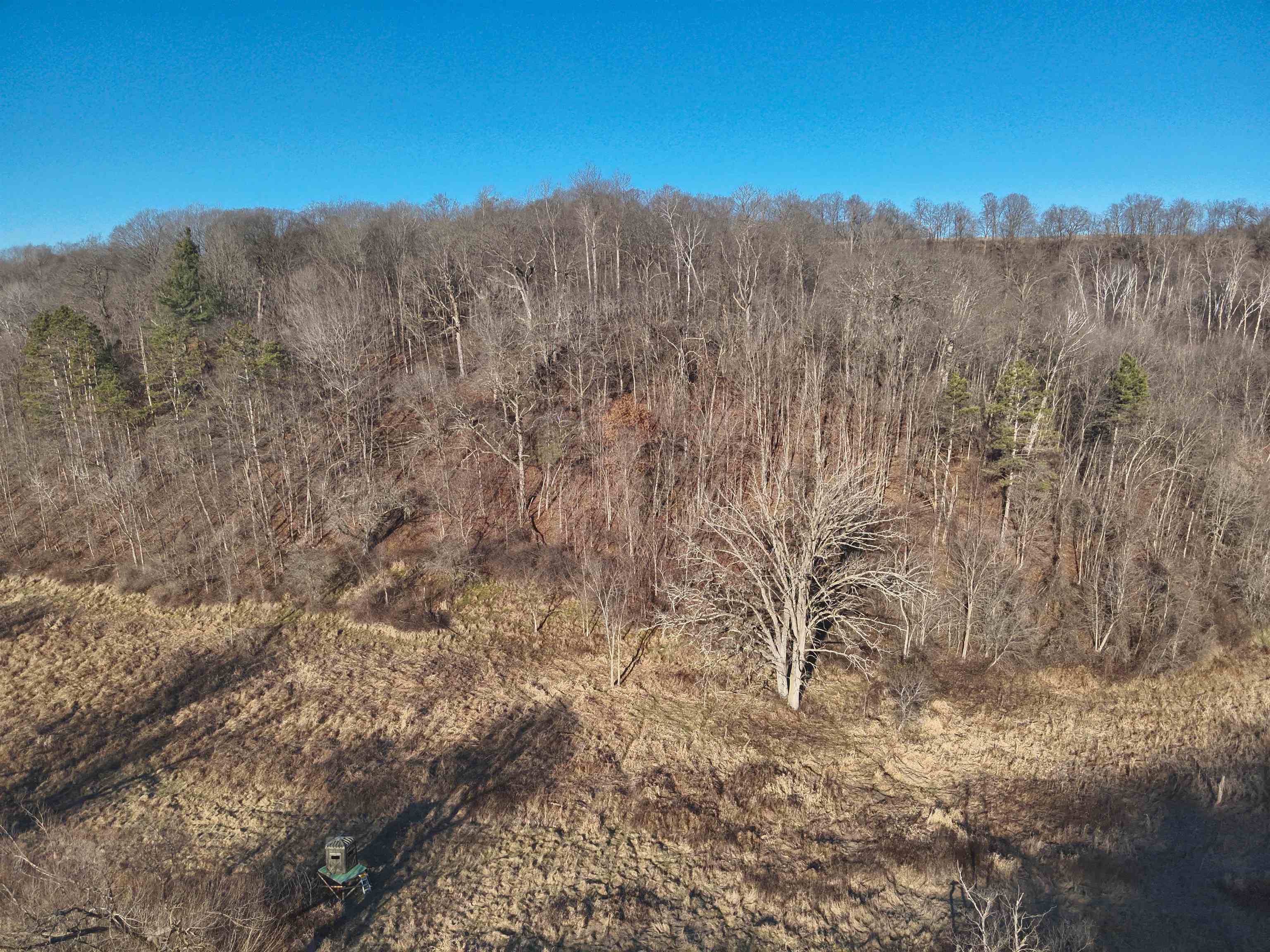 000 Fish Hollow Road