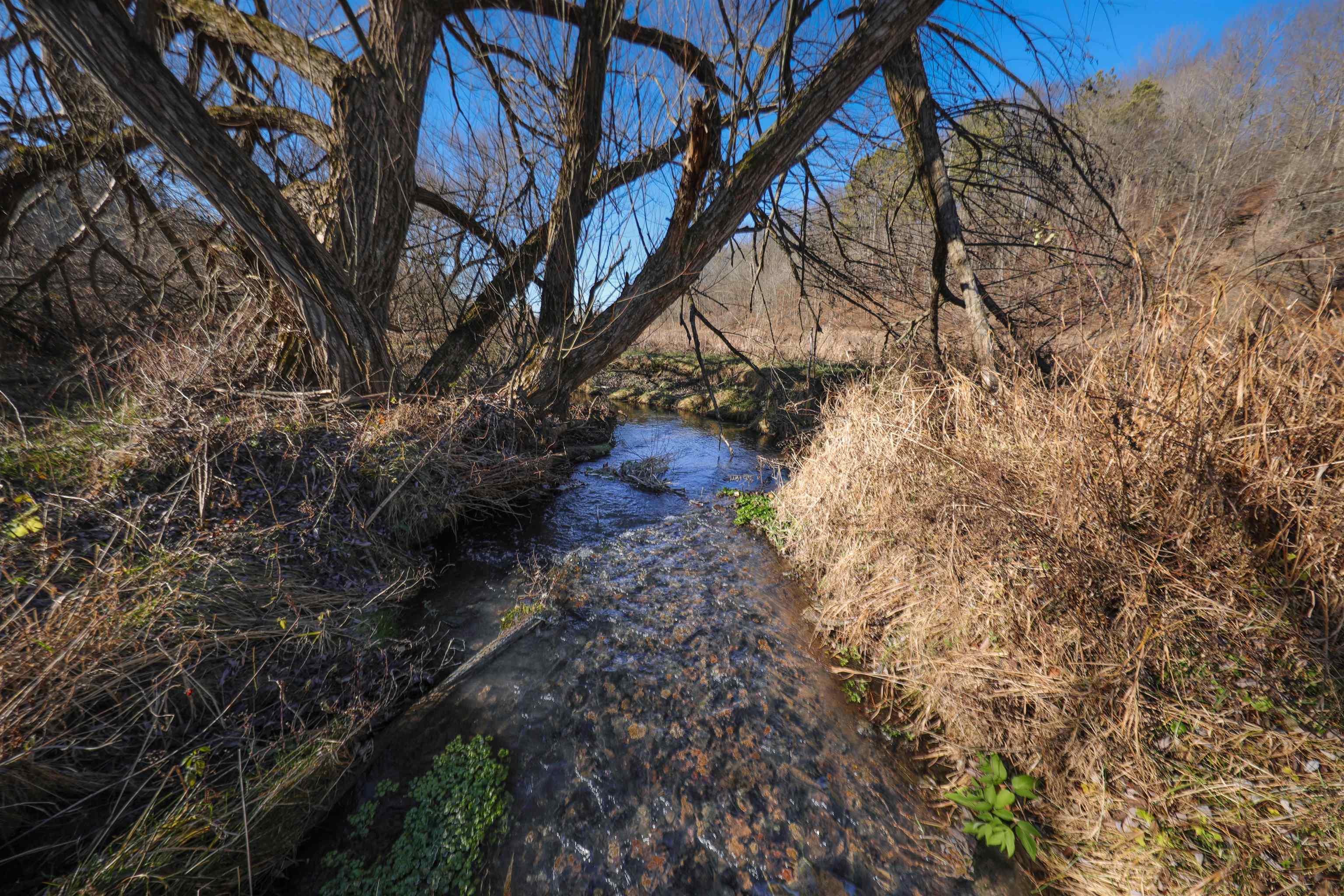000 Fish Hollow Road
