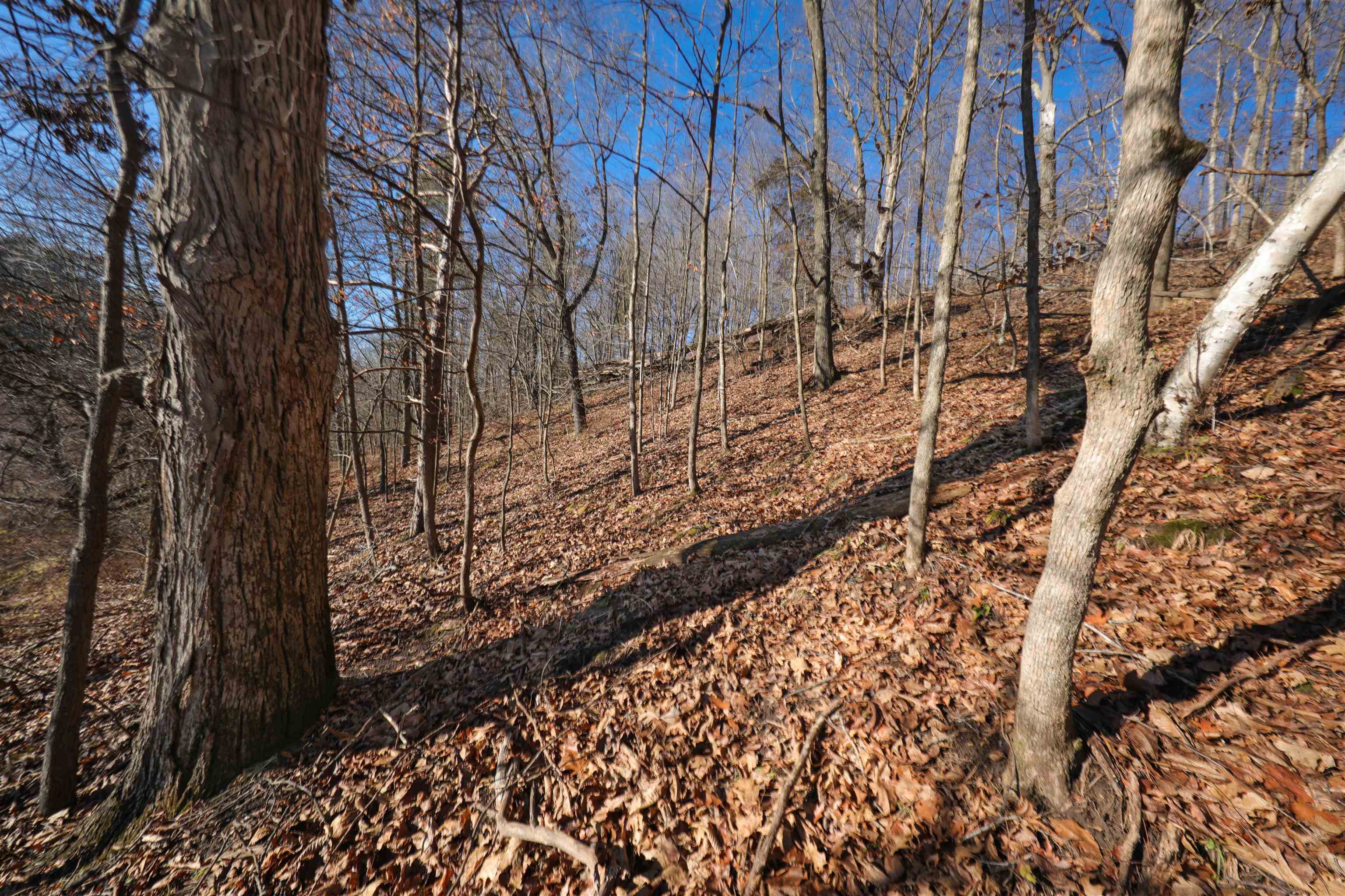 000 Fish Hollow Road