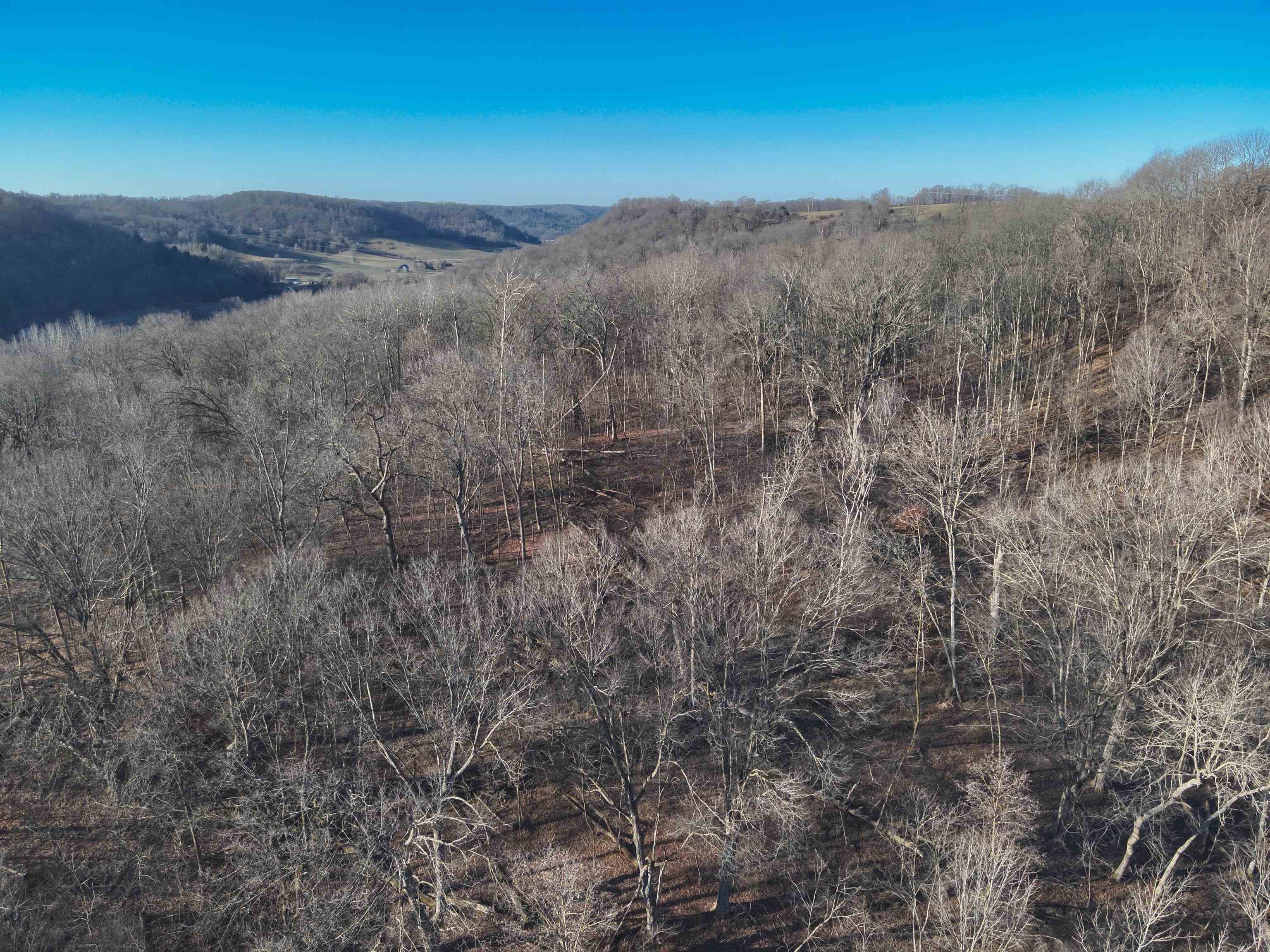 000 Fish Hollow Road