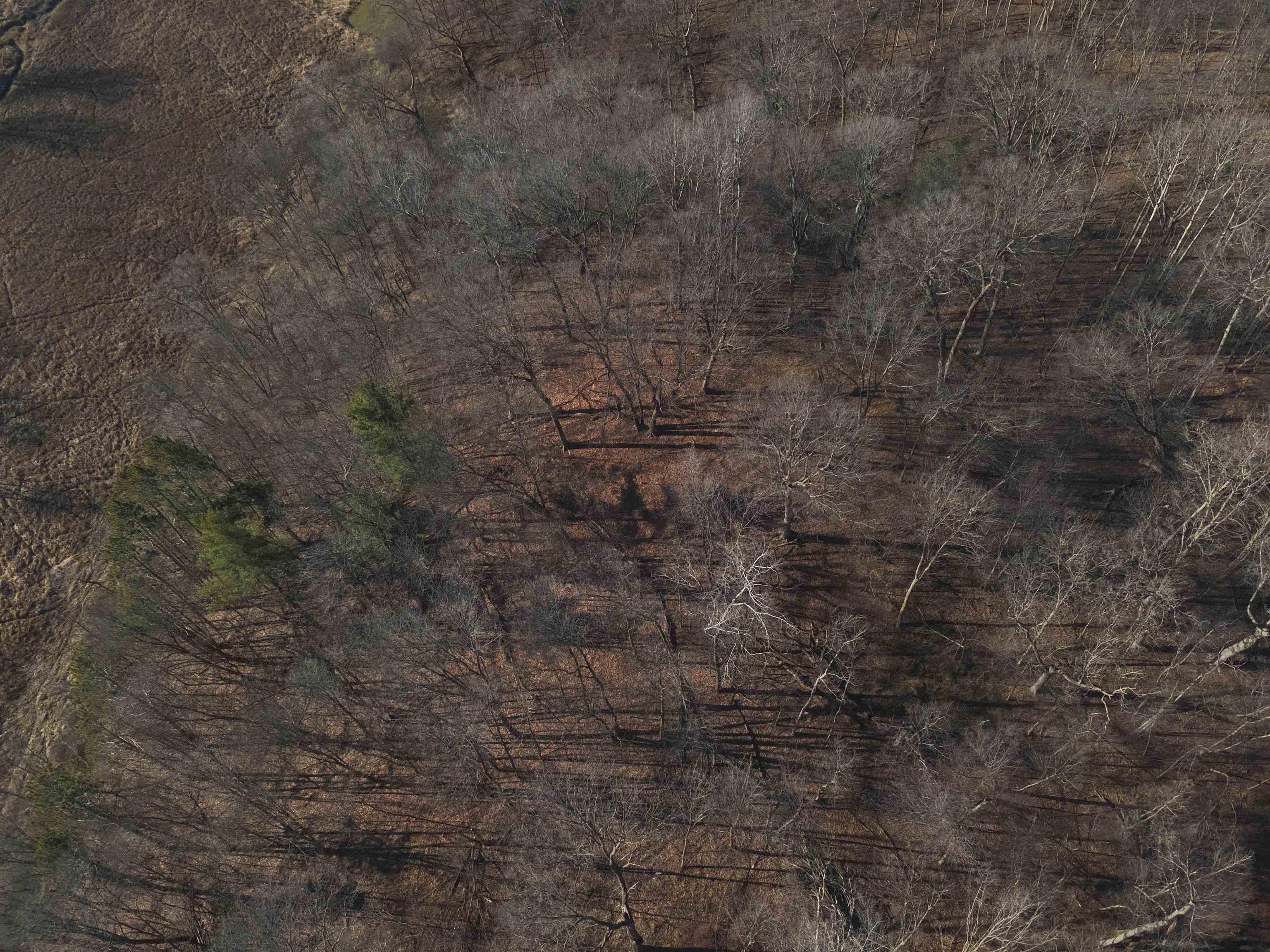 000 Fish Hollow Road