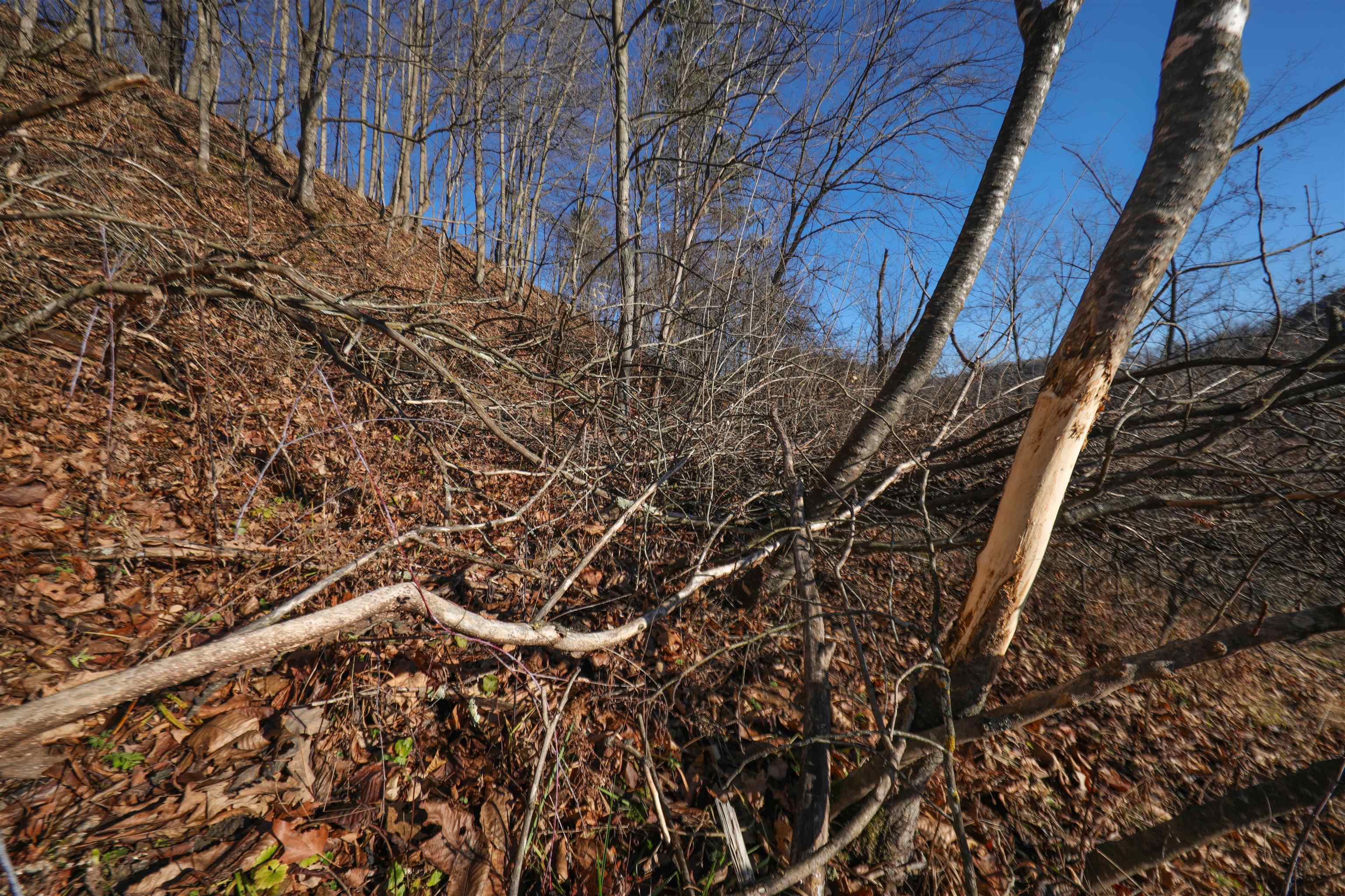 000 Fish Hollow Road