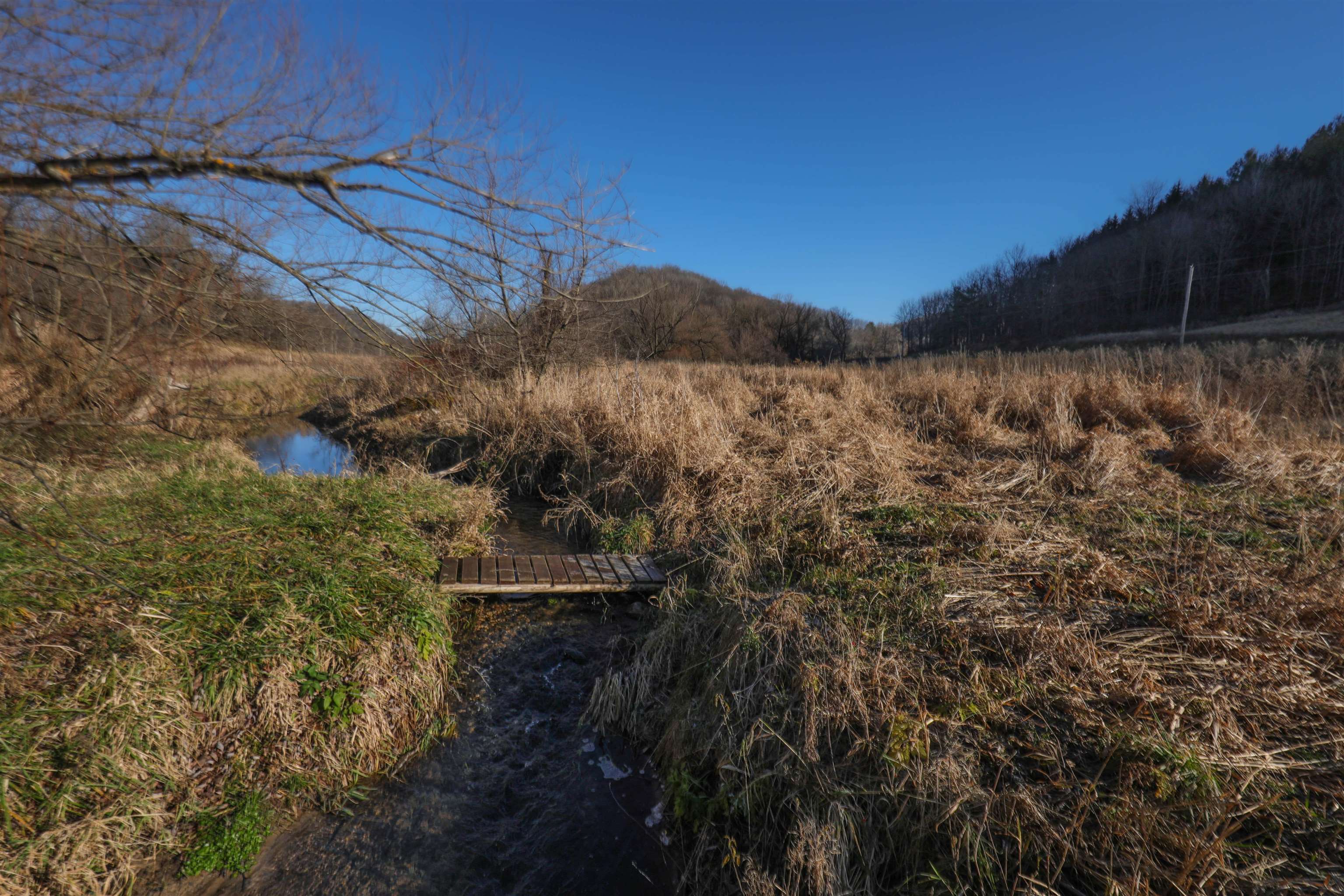 000 Fish Hollow Road
