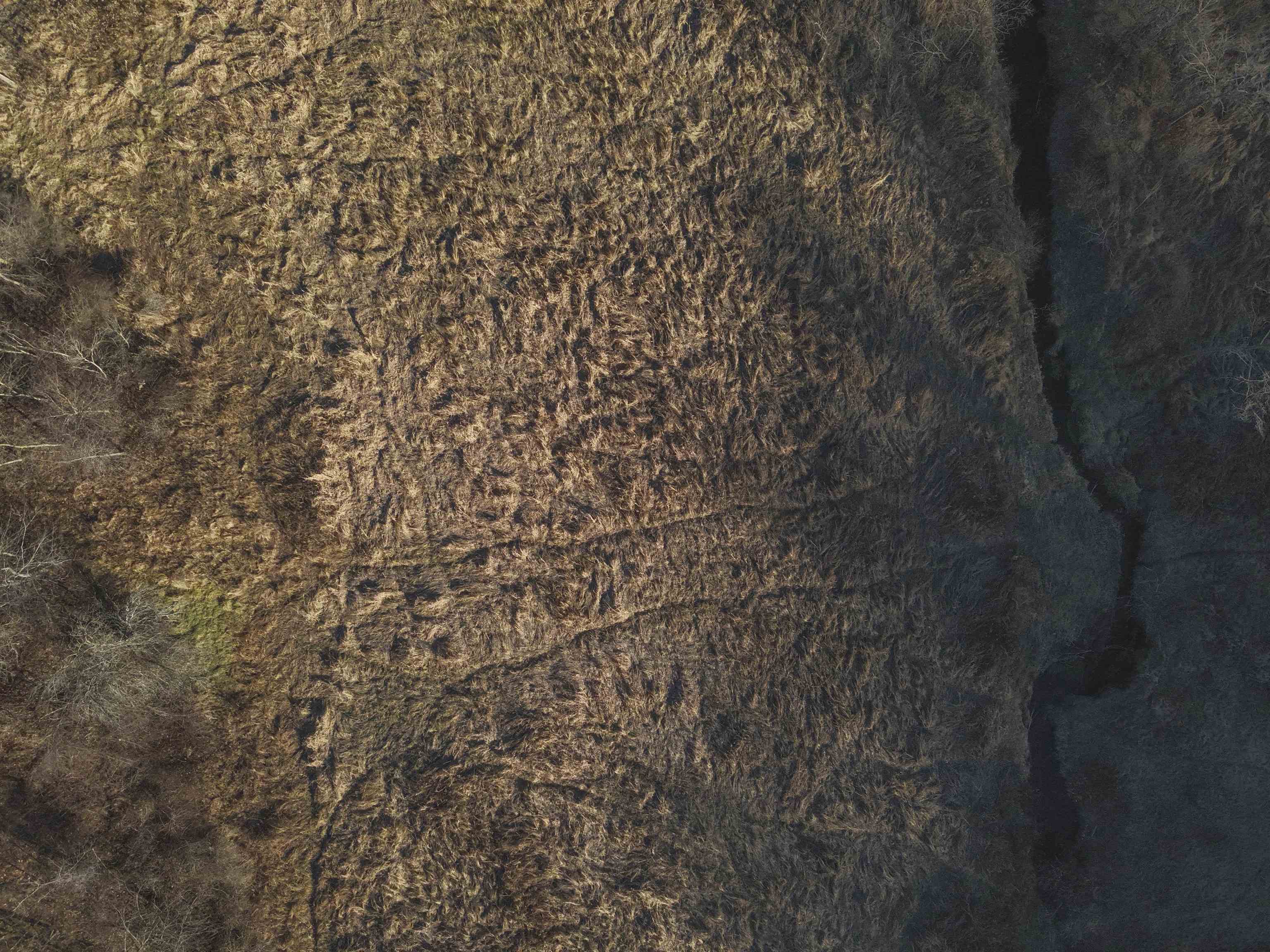 000 Fish Hollow Road