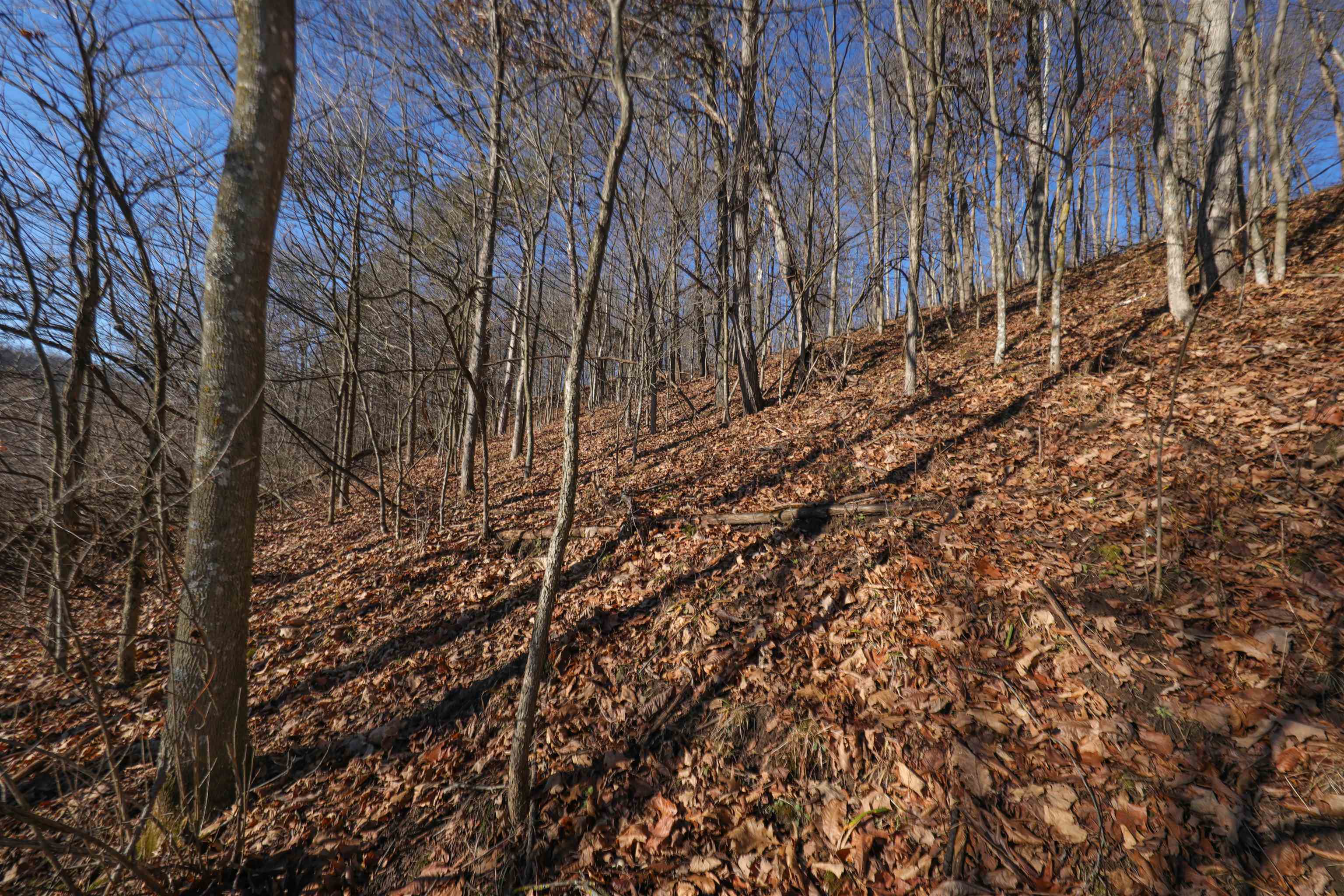 000 Fish Hollow Road