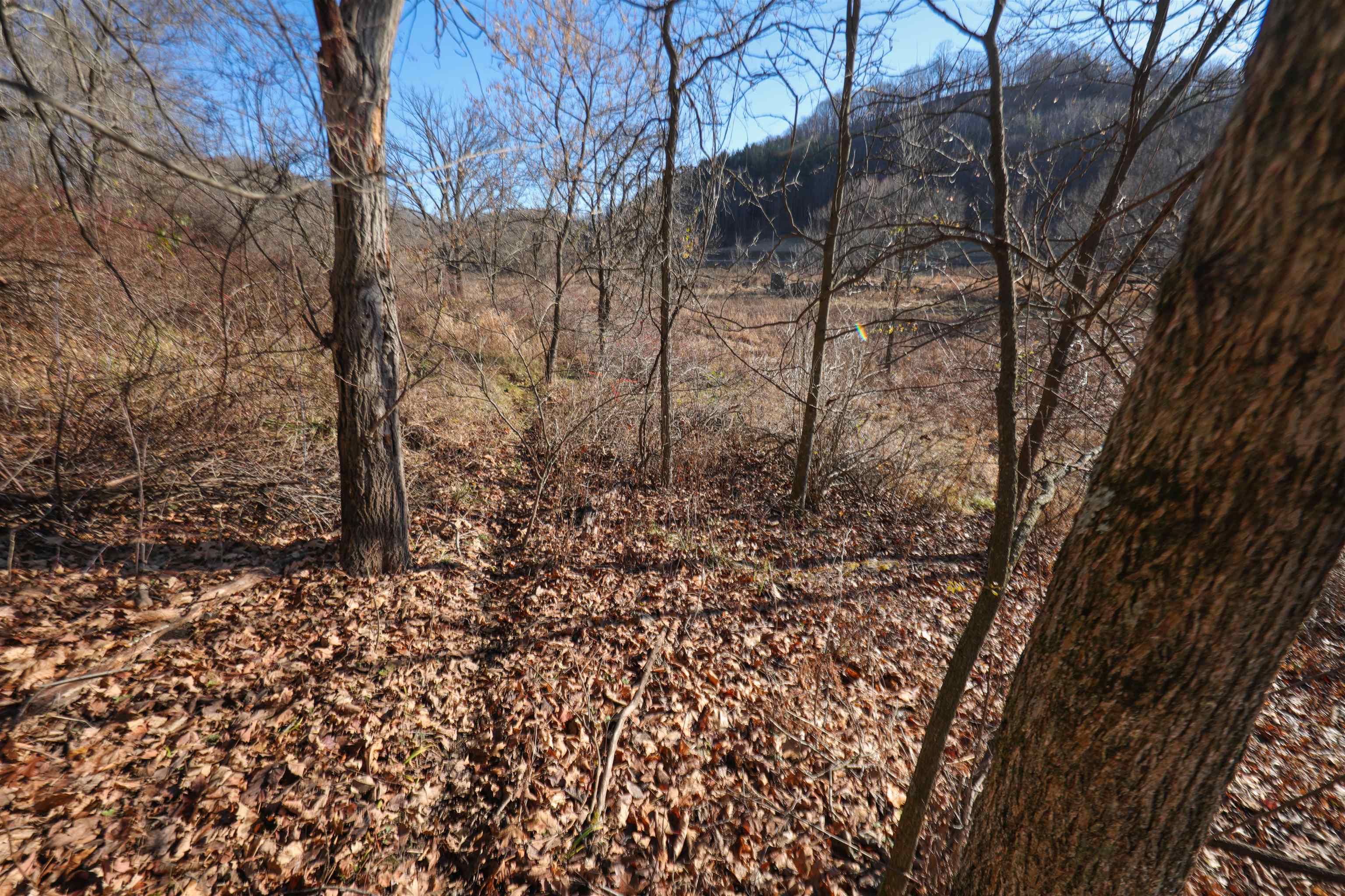000 Fish Hollow Road