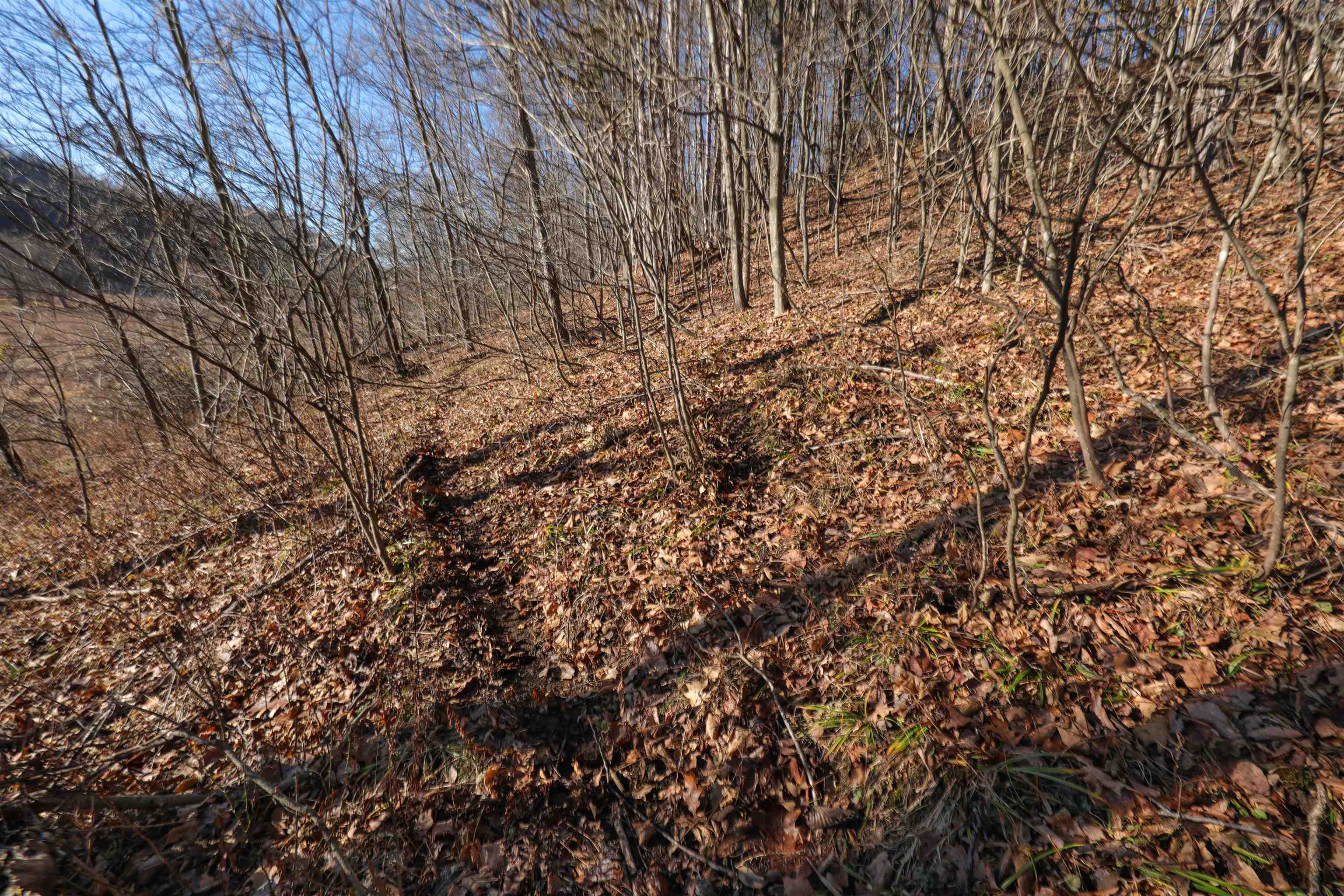 000 Fish Hollow Road