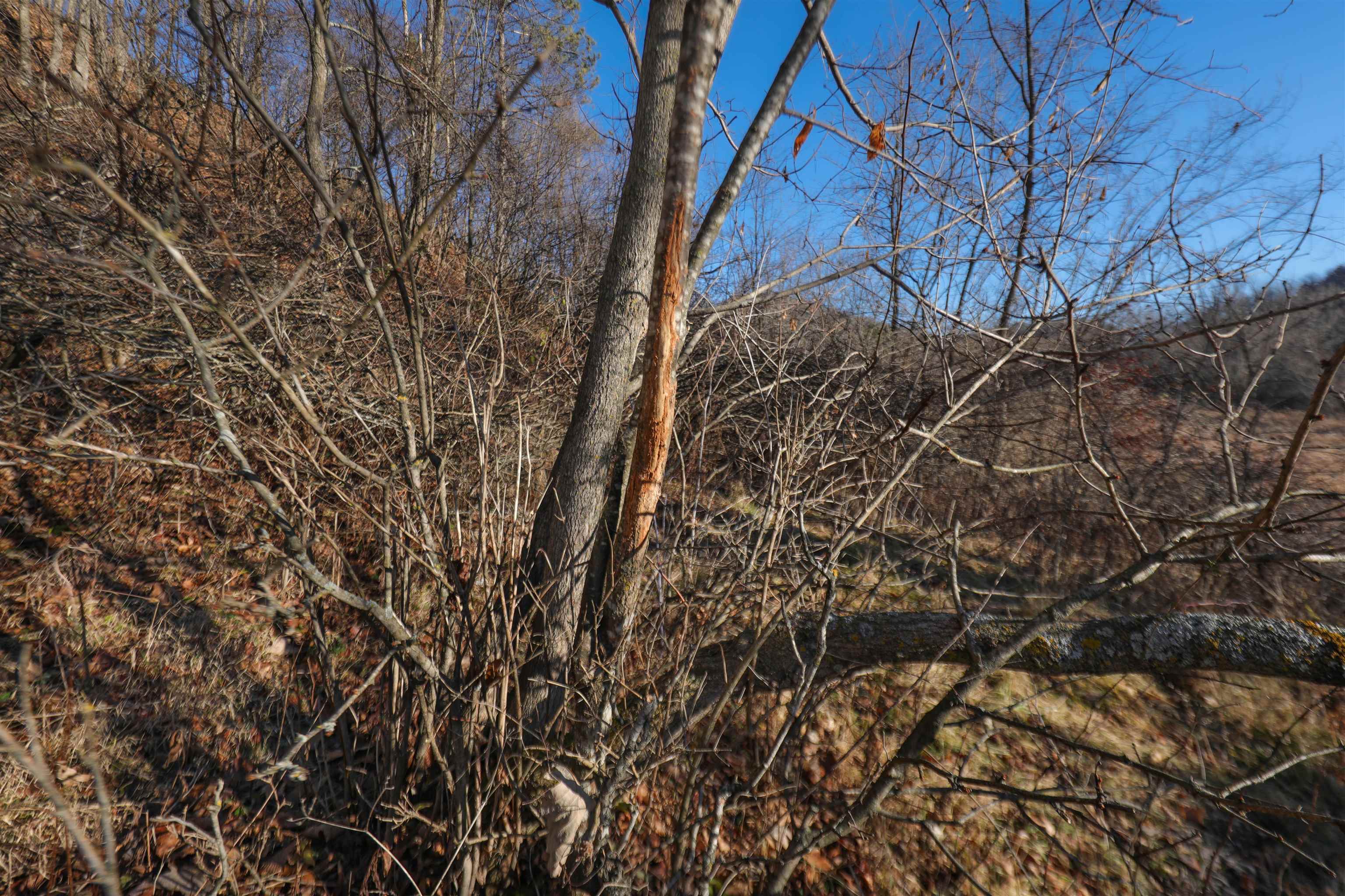 000 Fish Hollow Road