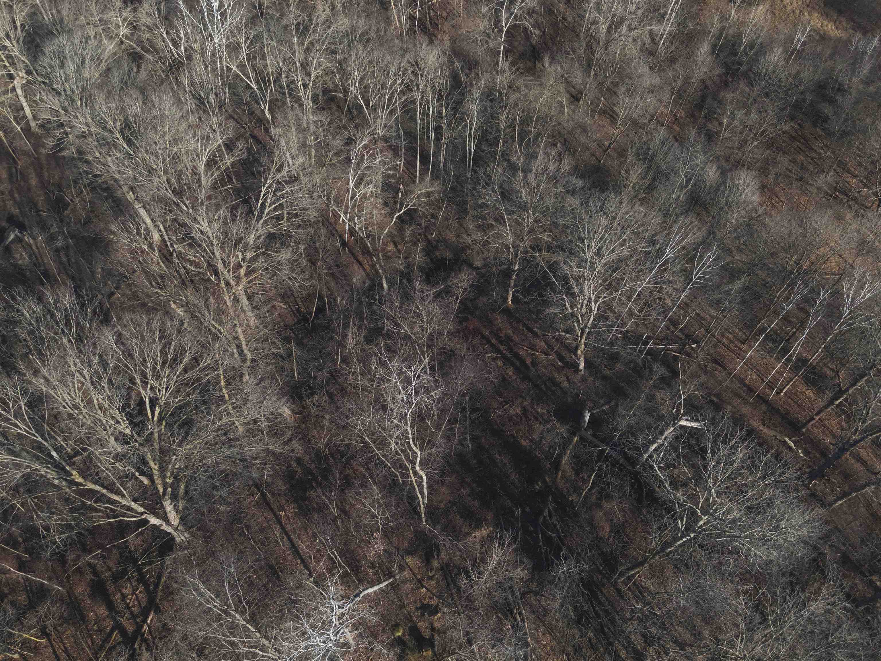 000 Fish Hollow Road