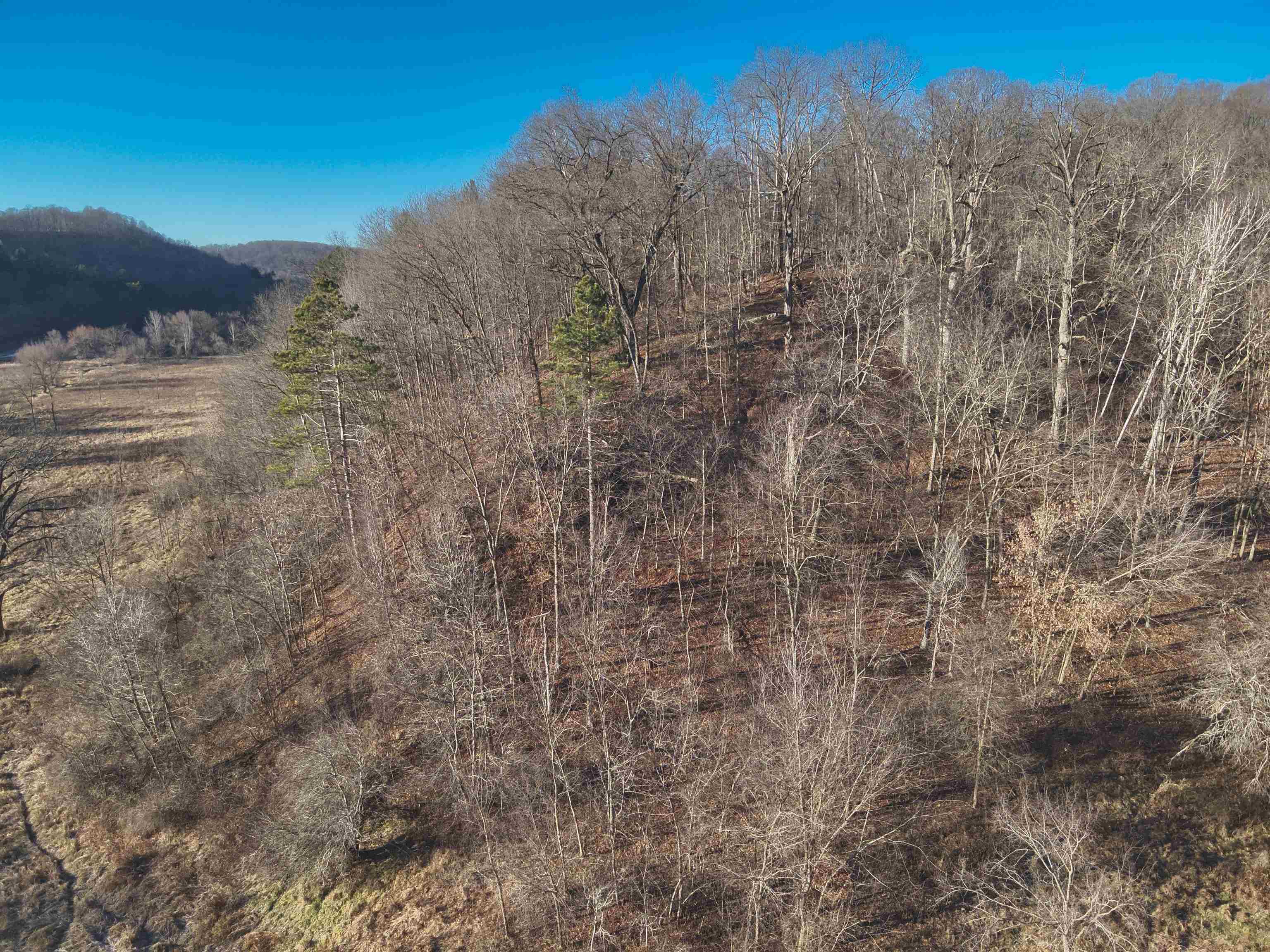 000 Fish Hollow Road