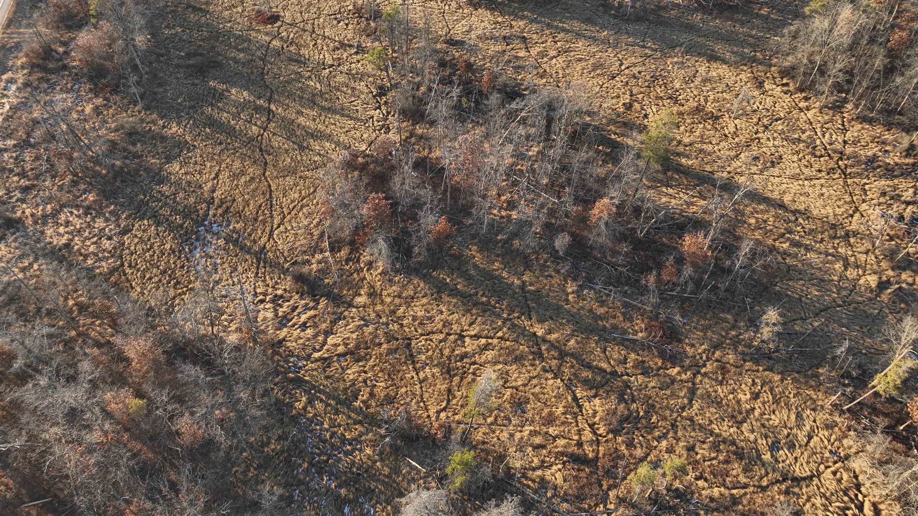 698 Highway 21