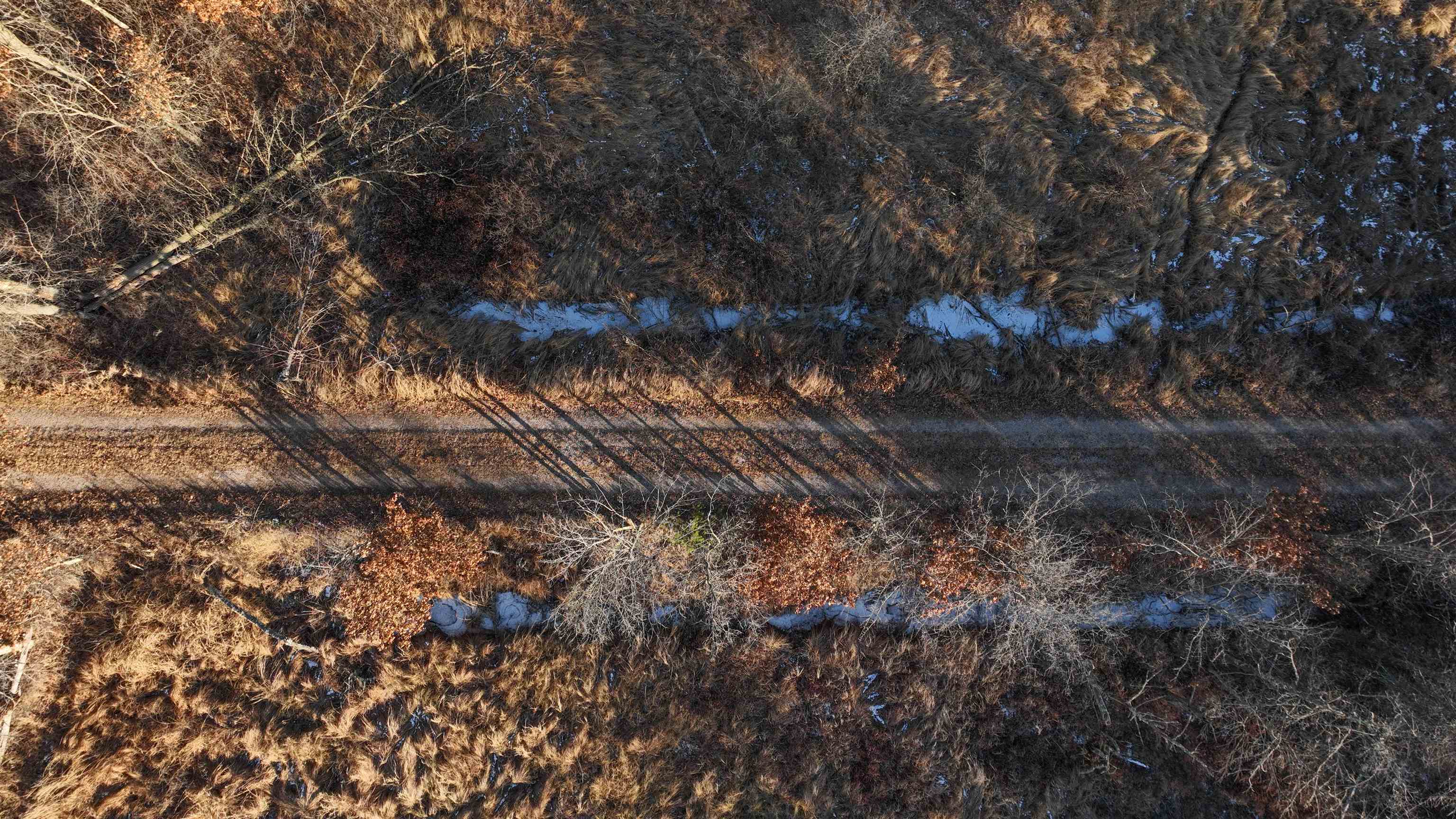 698 Highway 21