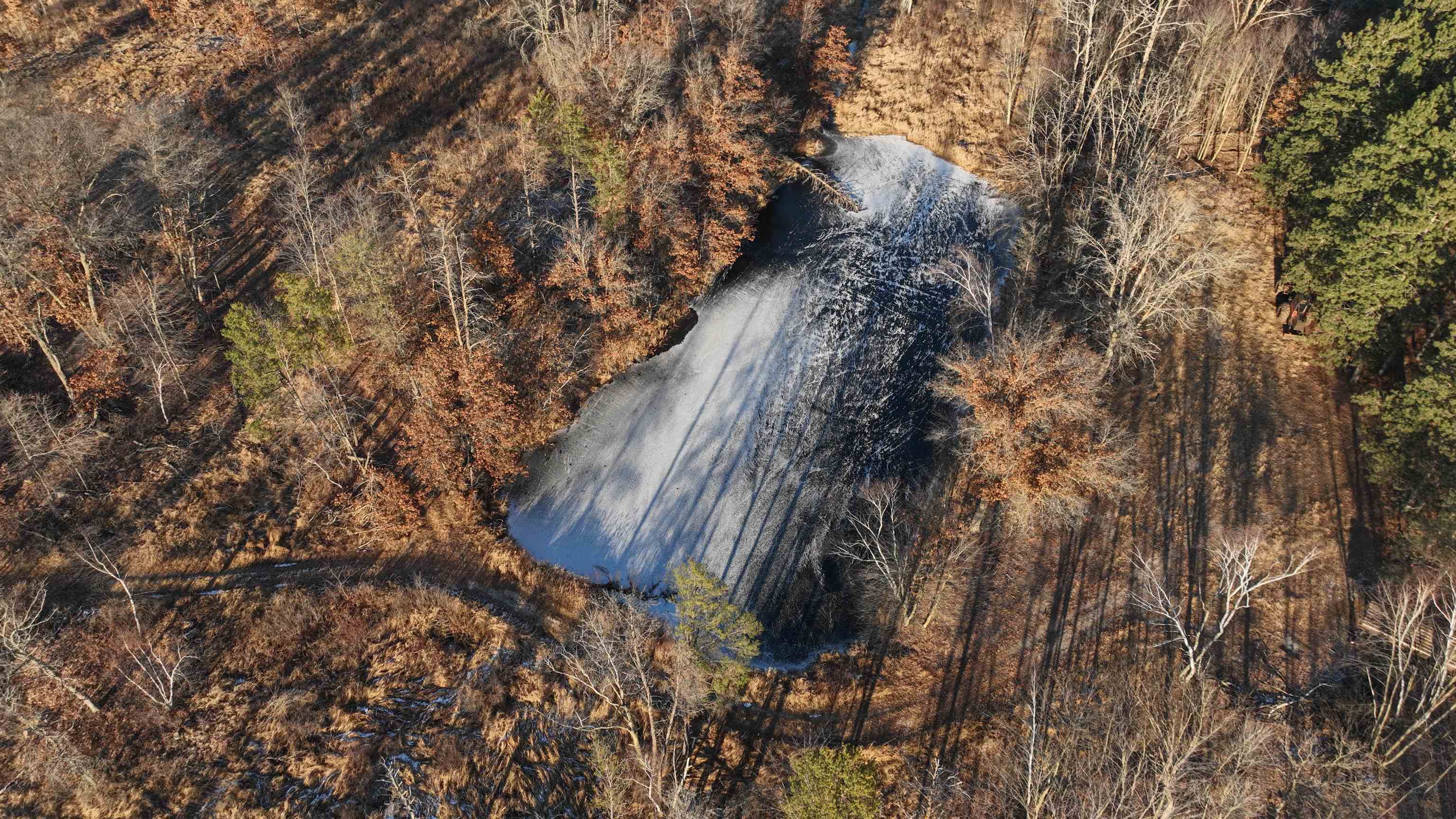 698 Highway 21