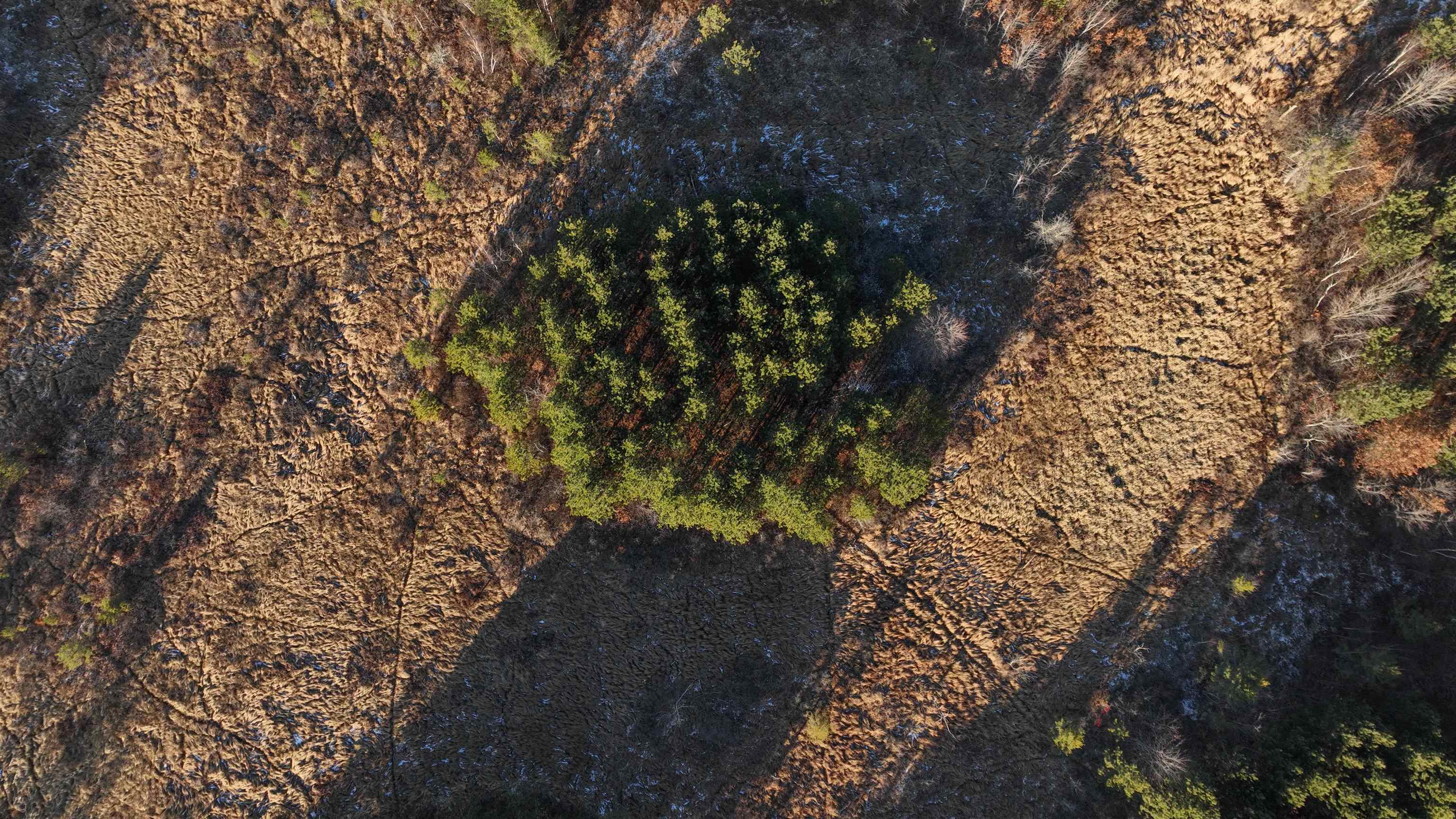 698 Highway 21