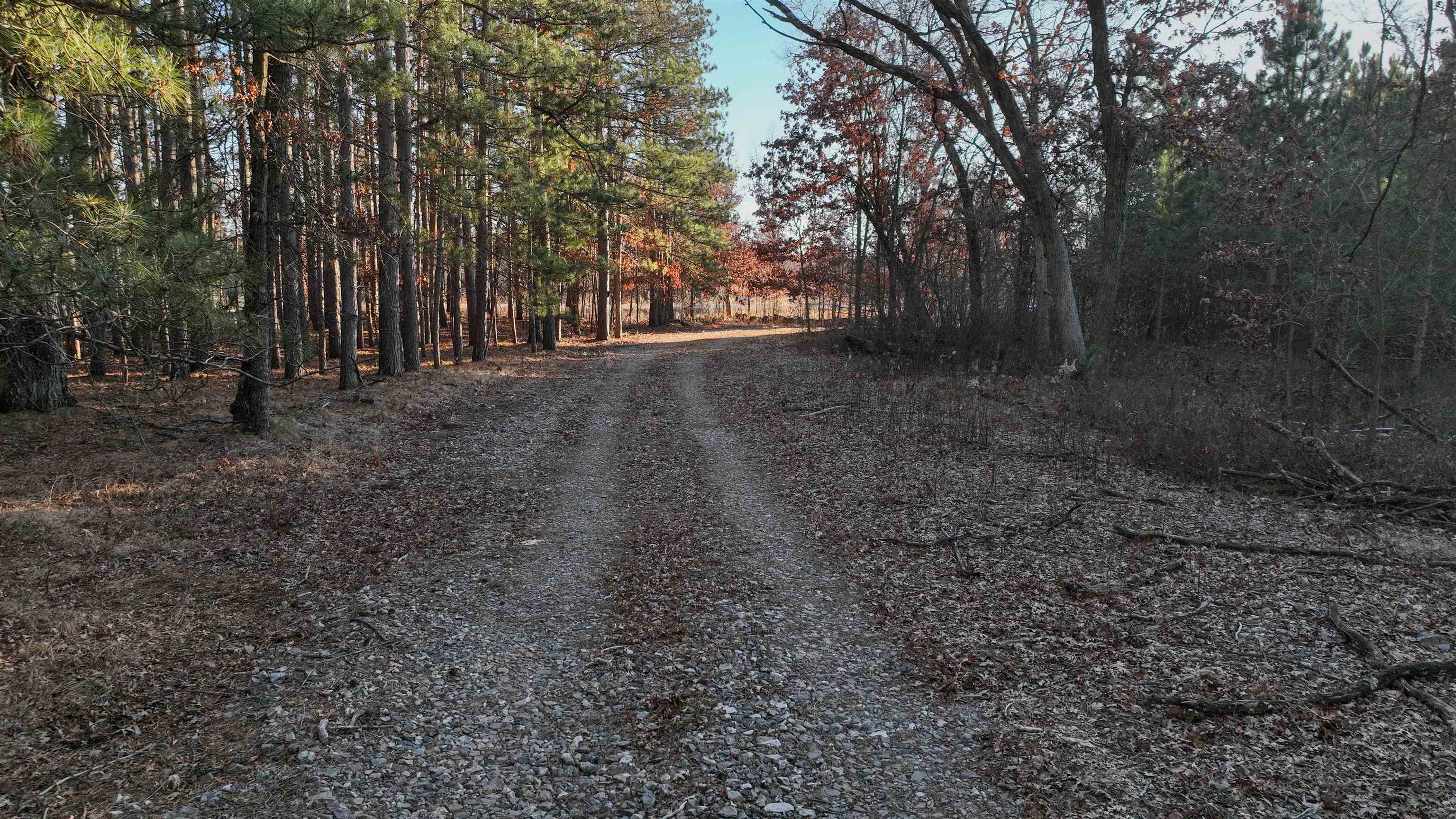 698 Highway 21