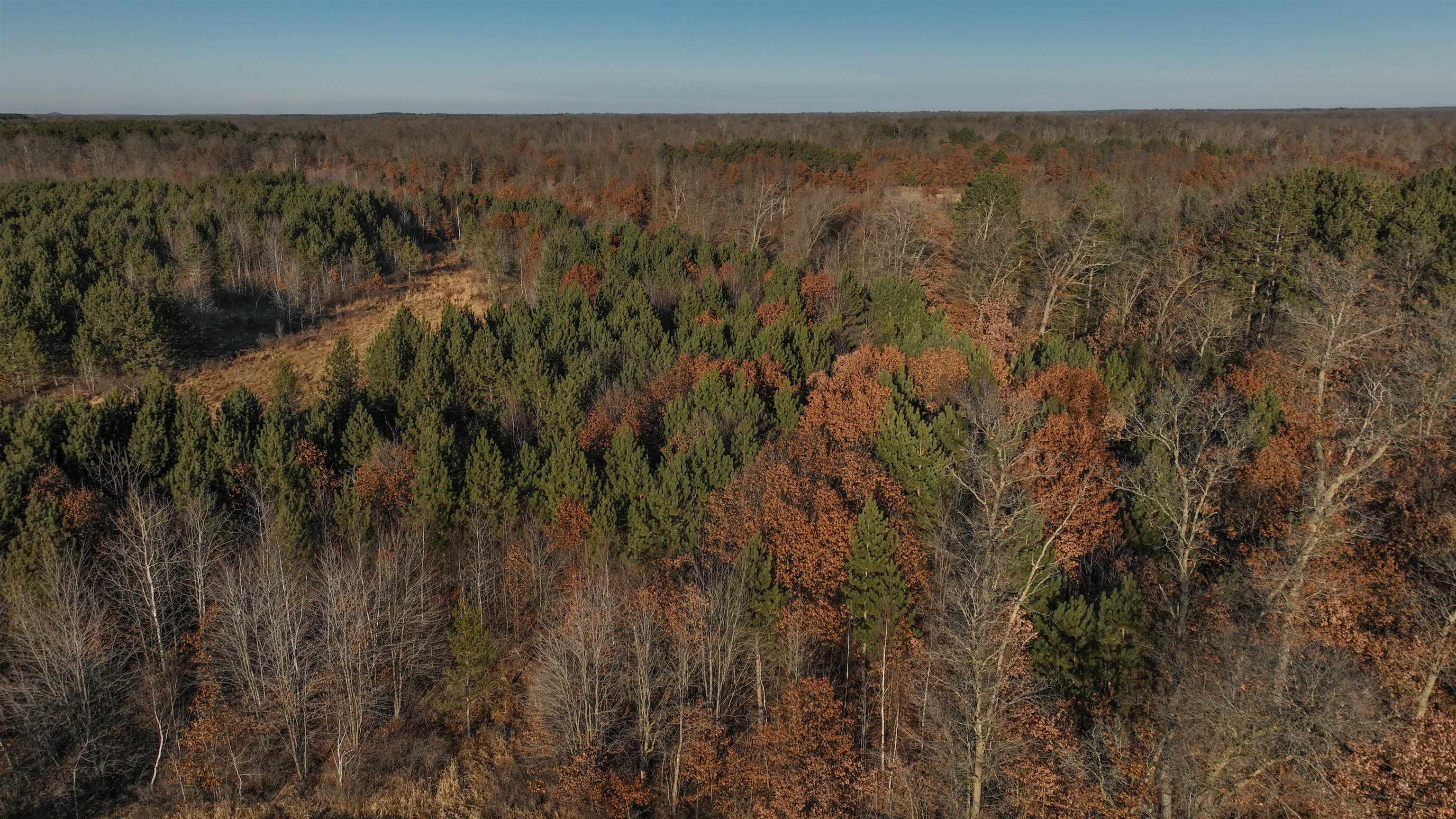 698 Highway 21