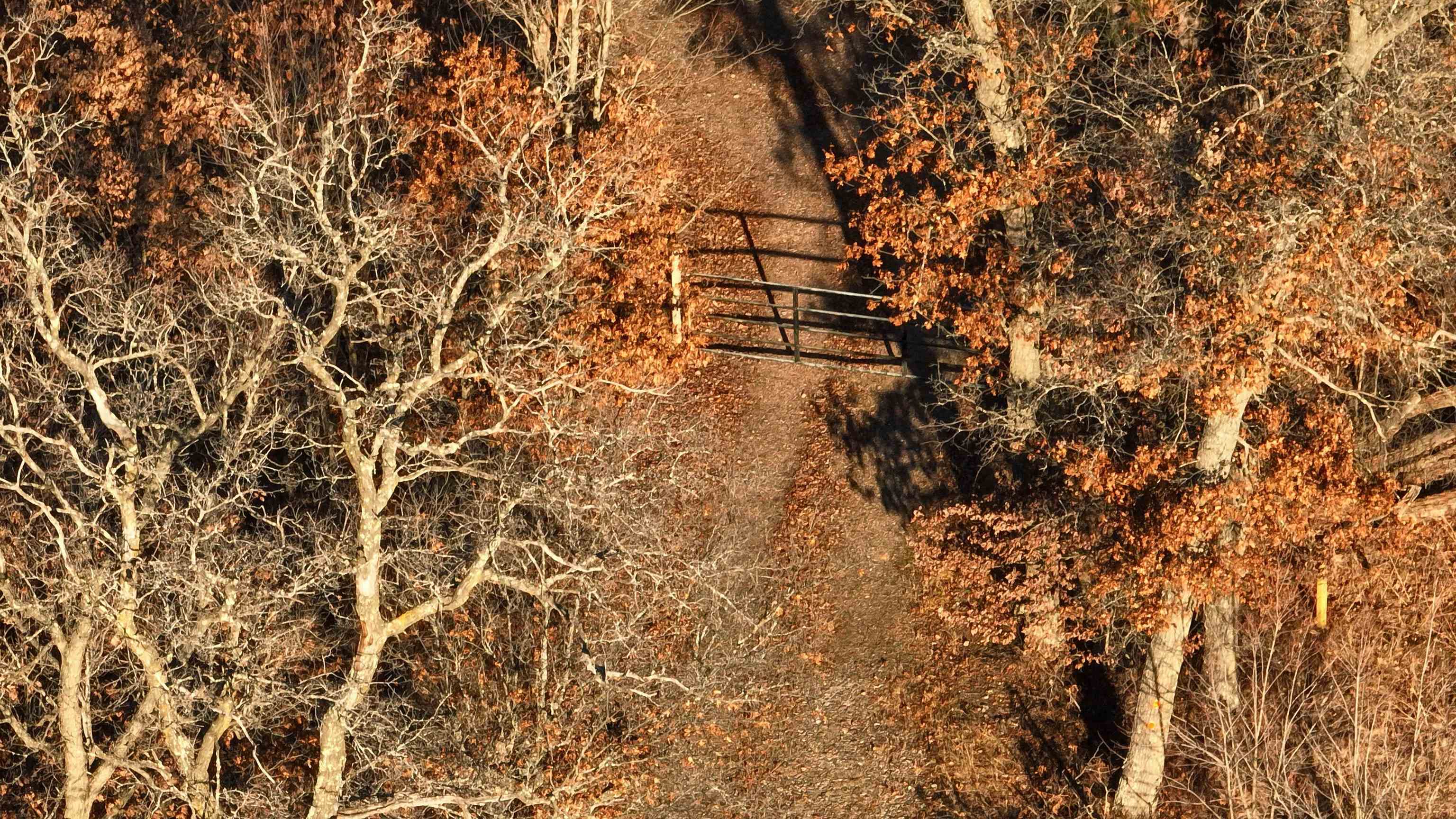 698 Highway 21