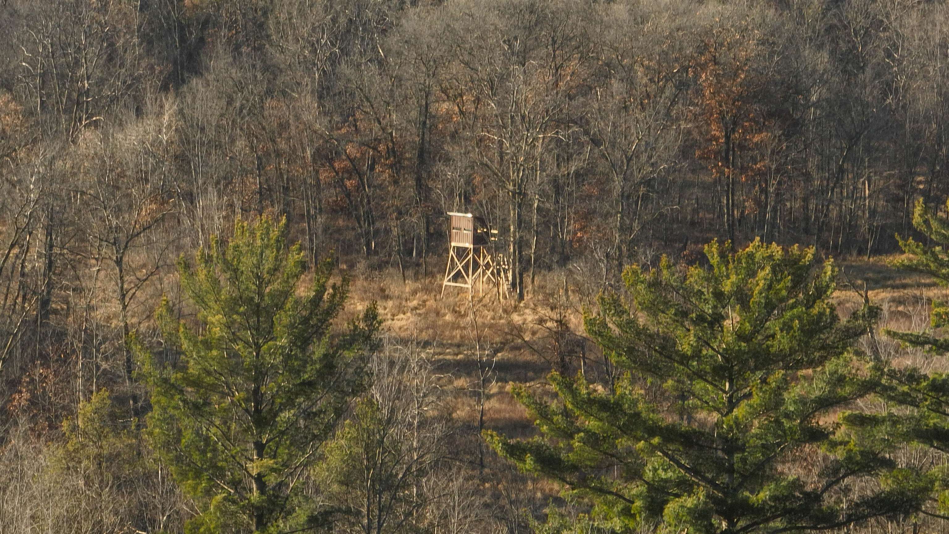 698 Highway 21