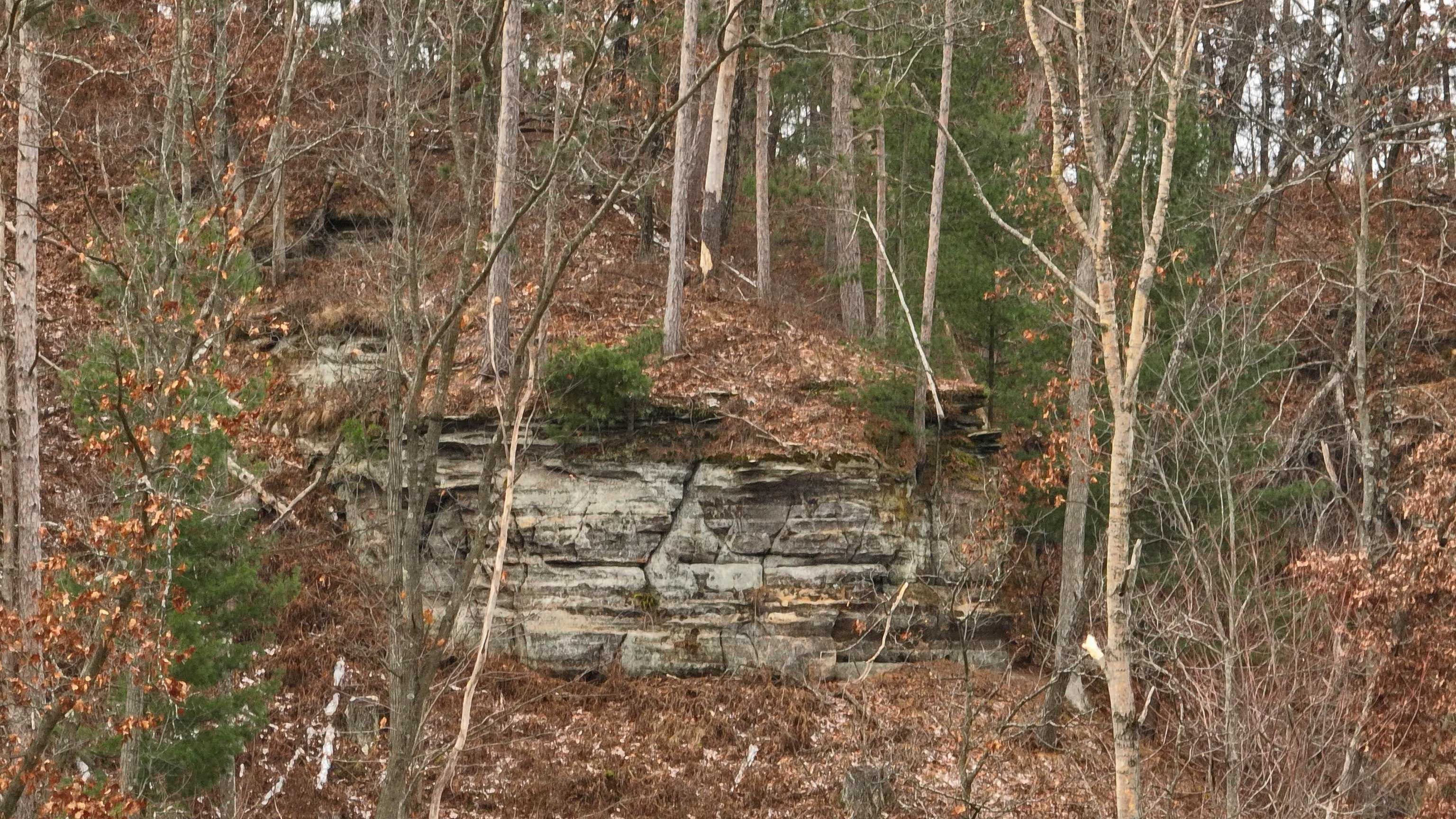 W9526 Jones Road