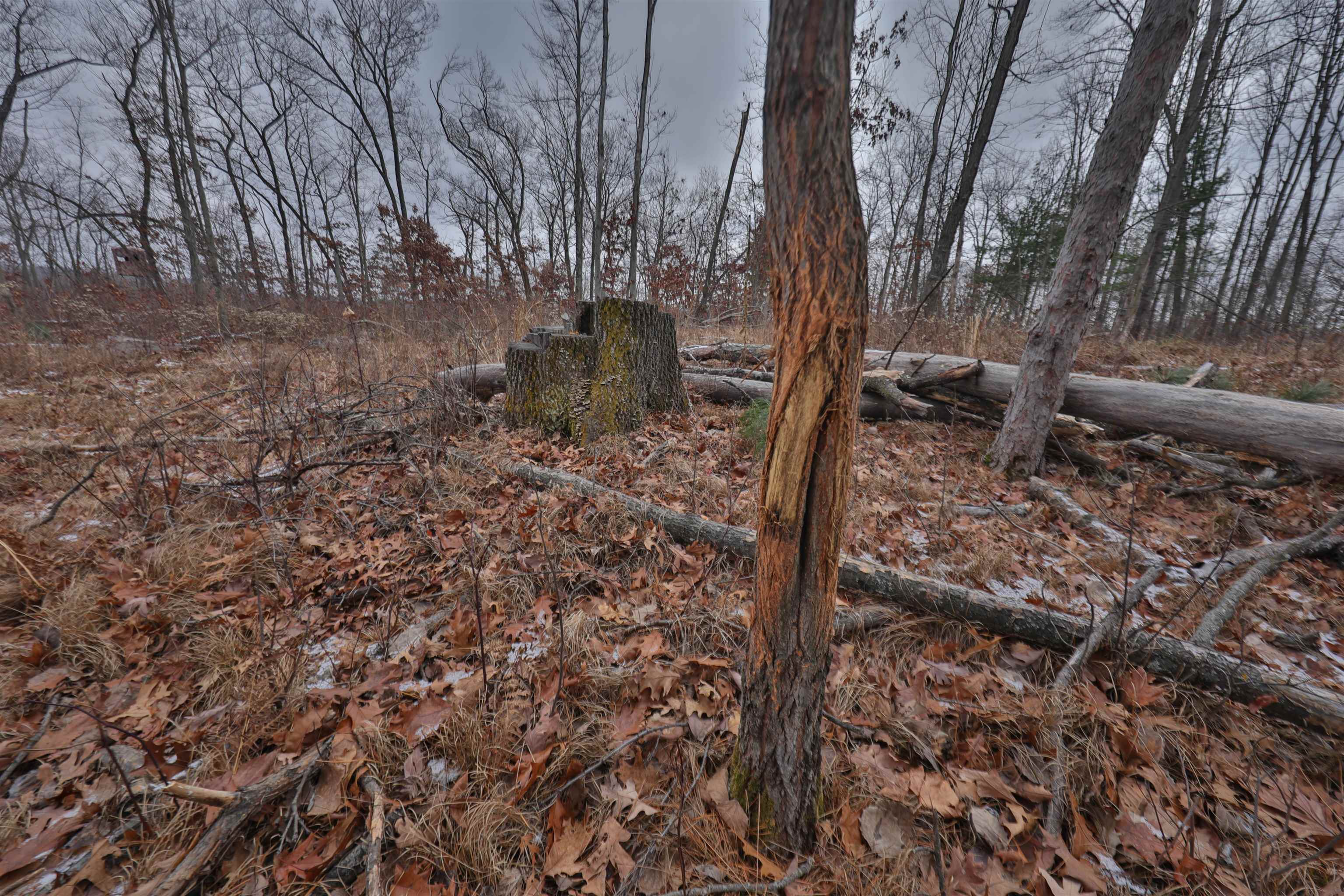 W9526 Jones Road