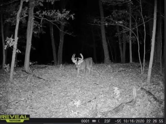 W9526 Jones Road