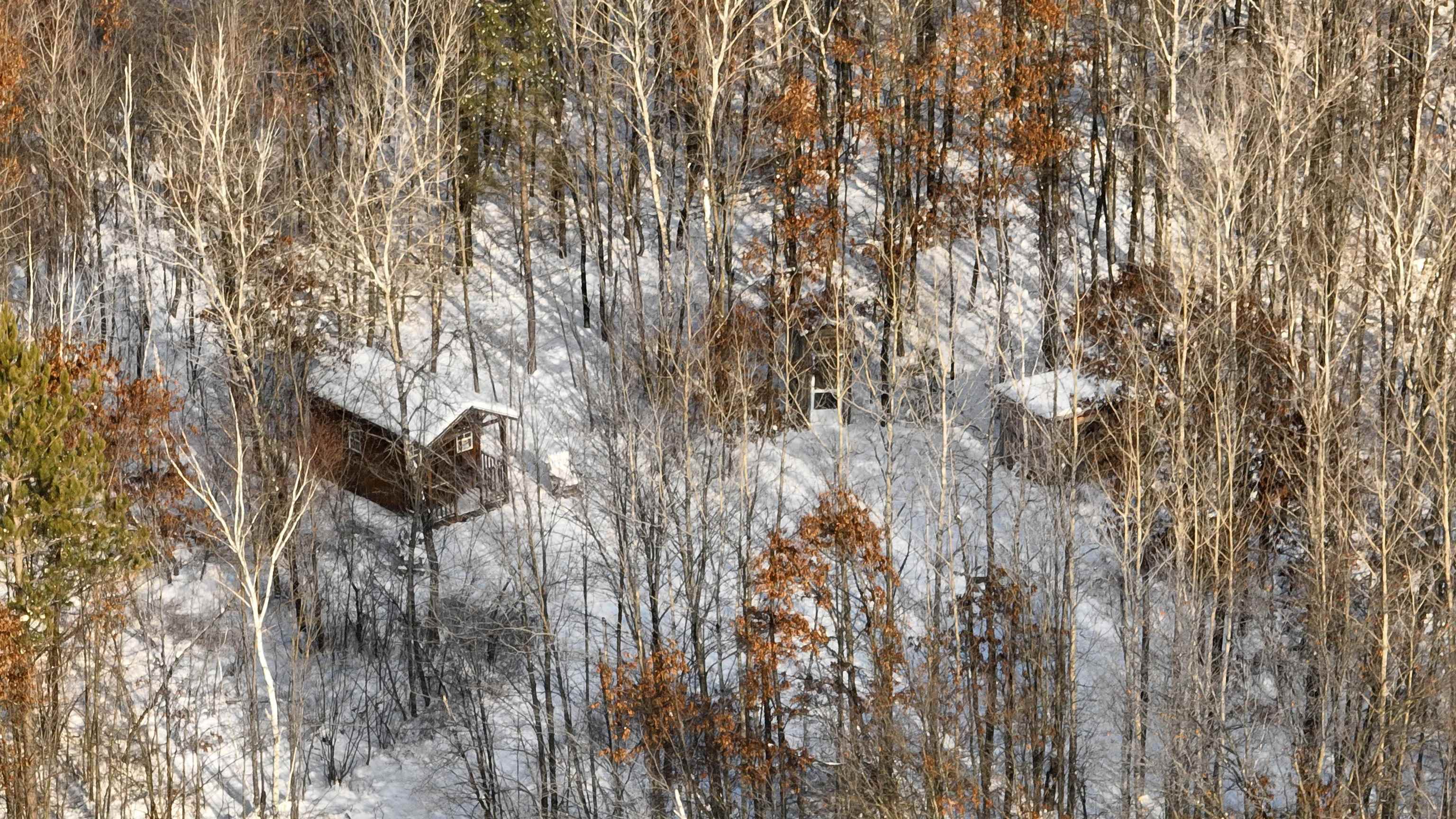 60.14 Ac Deerborn Drive