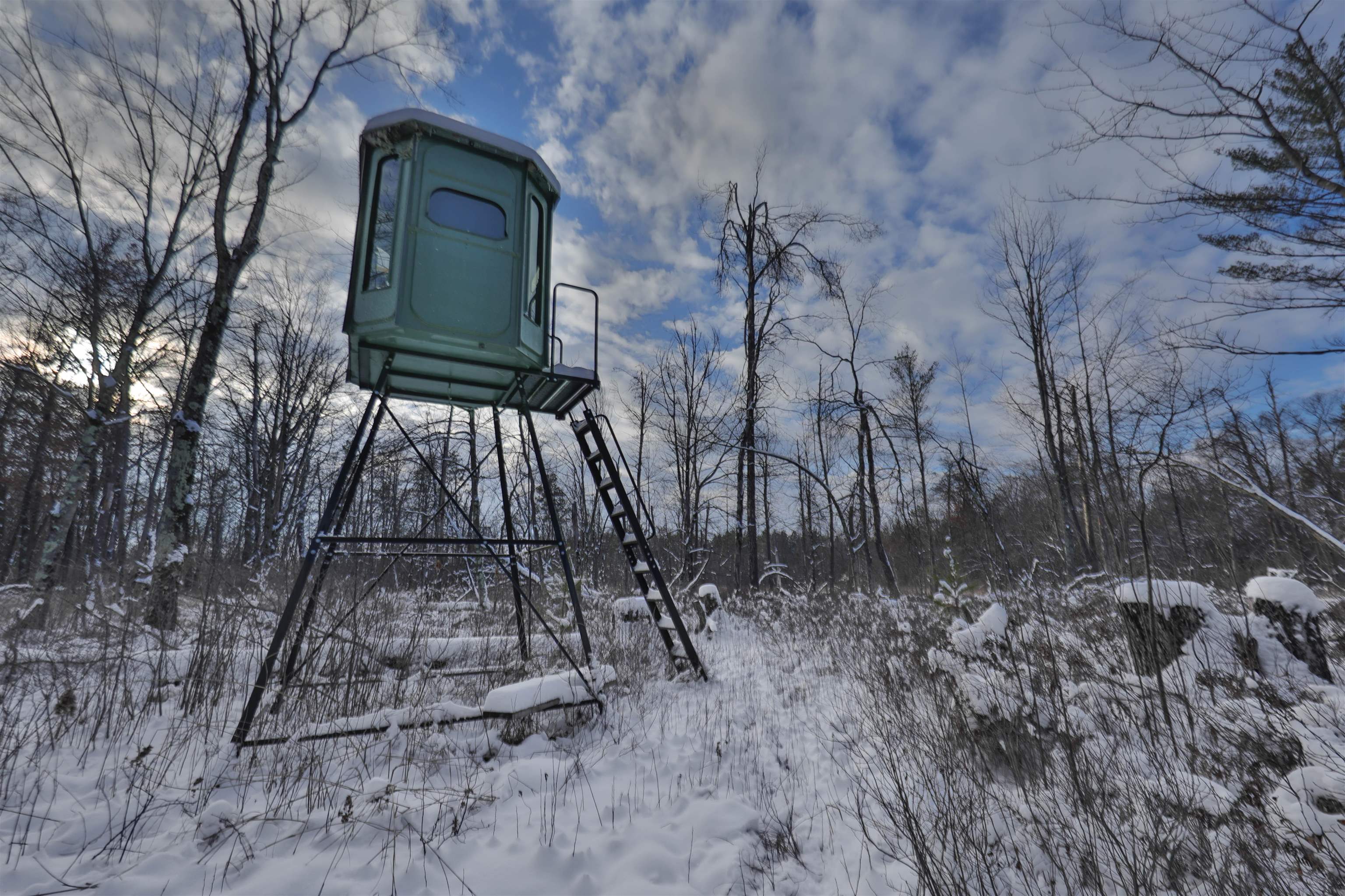 60.14 Ac Deerborn Drive