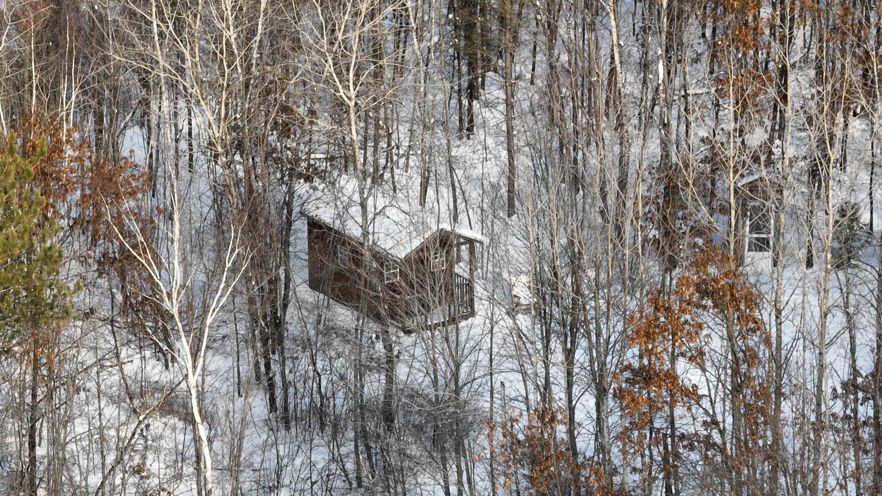 60.14 Ac Deerborn Drive