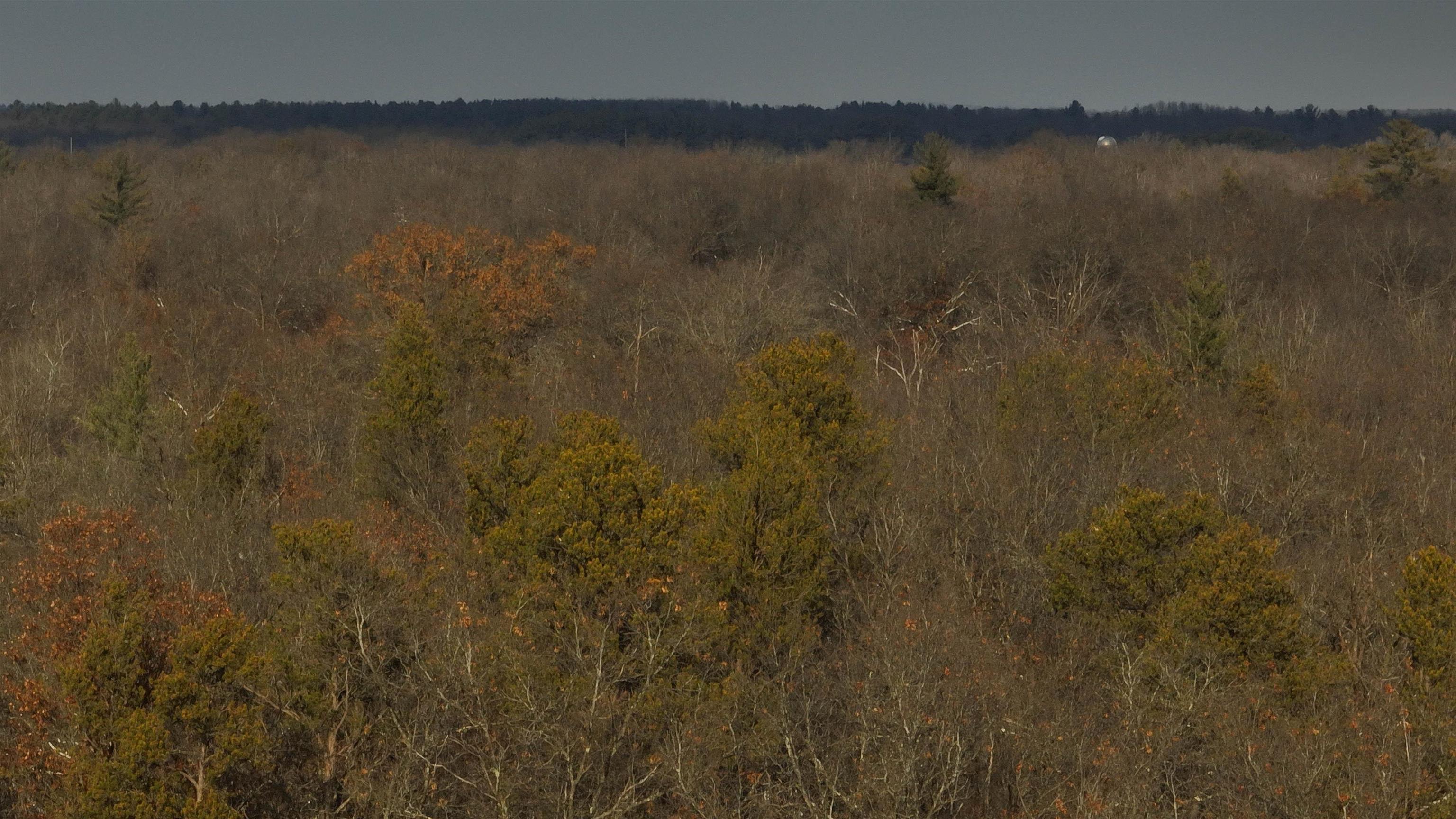 60.14 Ac Deerborn Drive