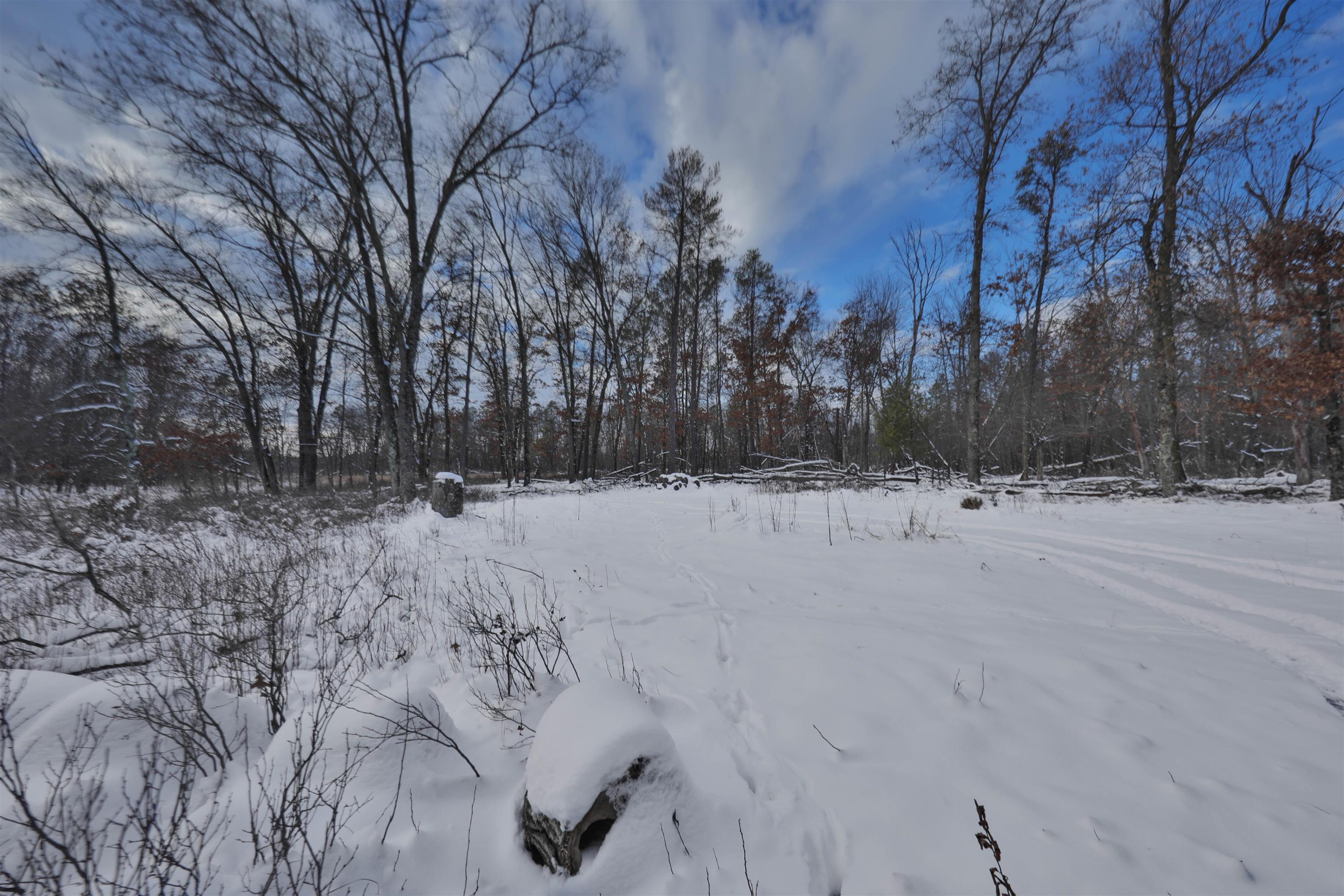 60.14 Ac Deerborn Drive