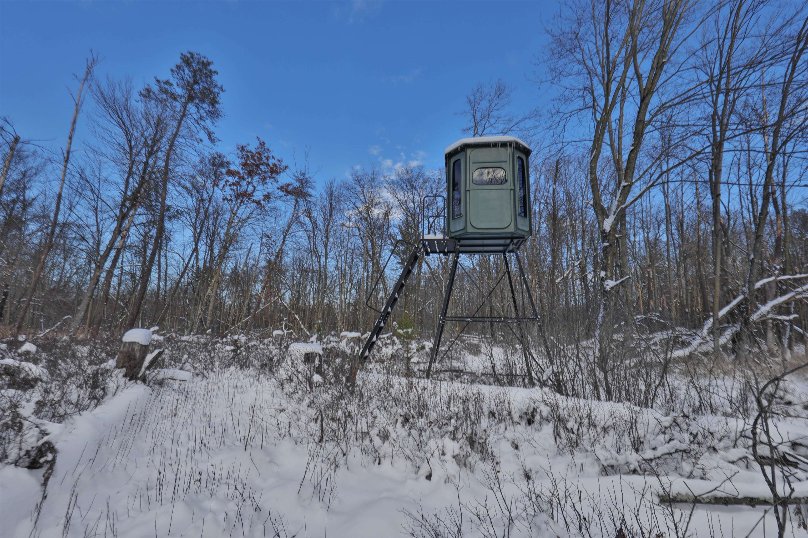 60.14 Ac Deerborn Drive