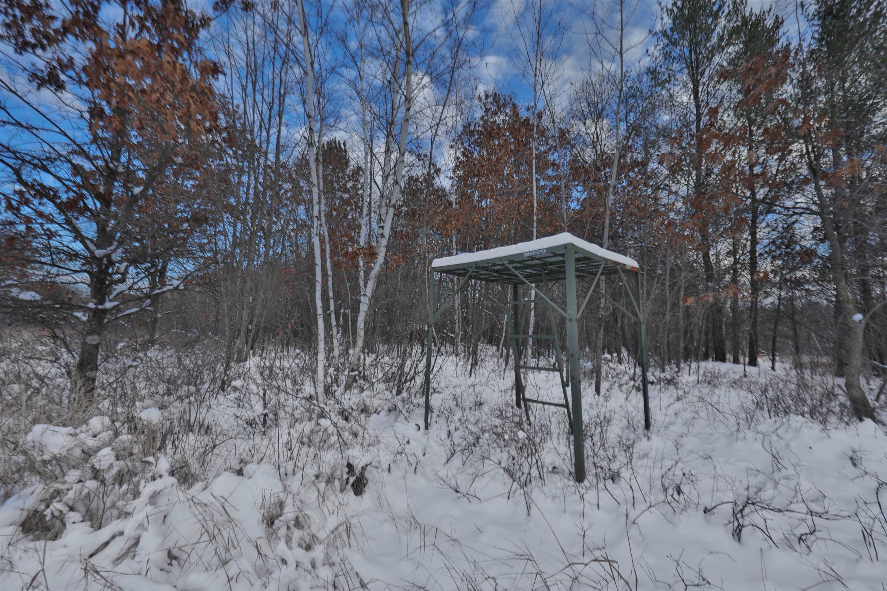 60.14 Ac Deerborn Drive