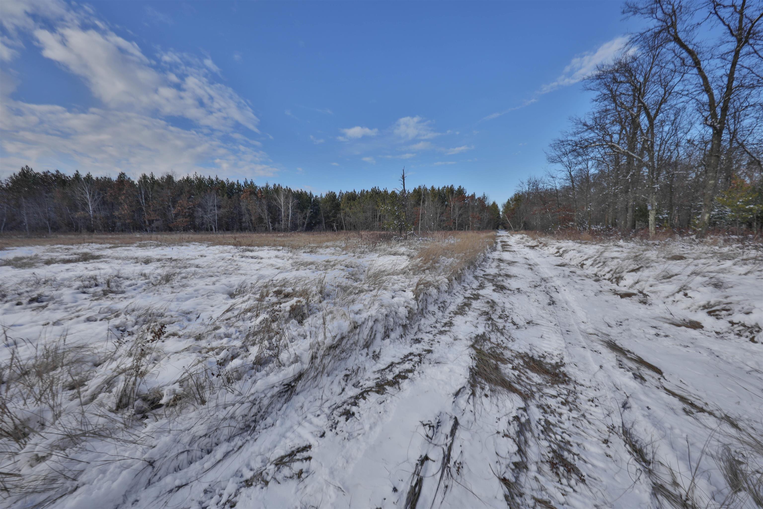 60.14 Ac Deerborn Drive