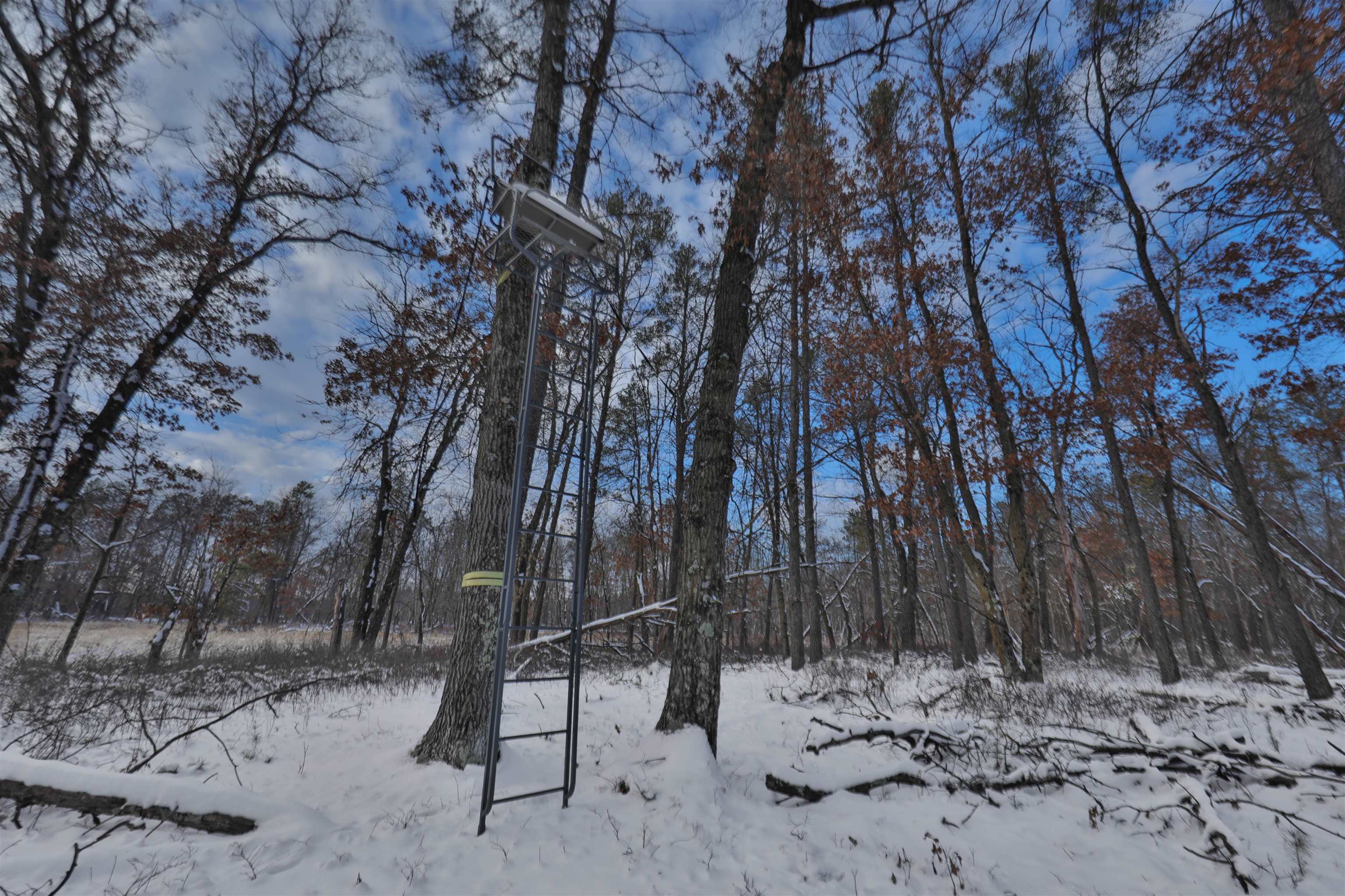 60.14 Ac Deerborn Drive